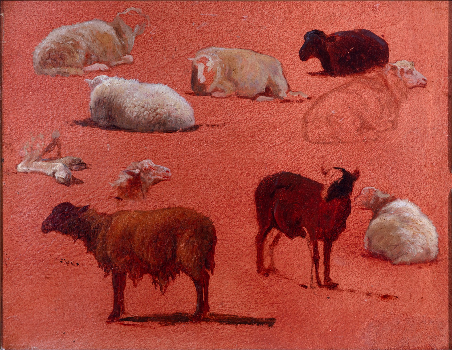 Untitled (Sketches of Sheep) by Rosa Bonheur