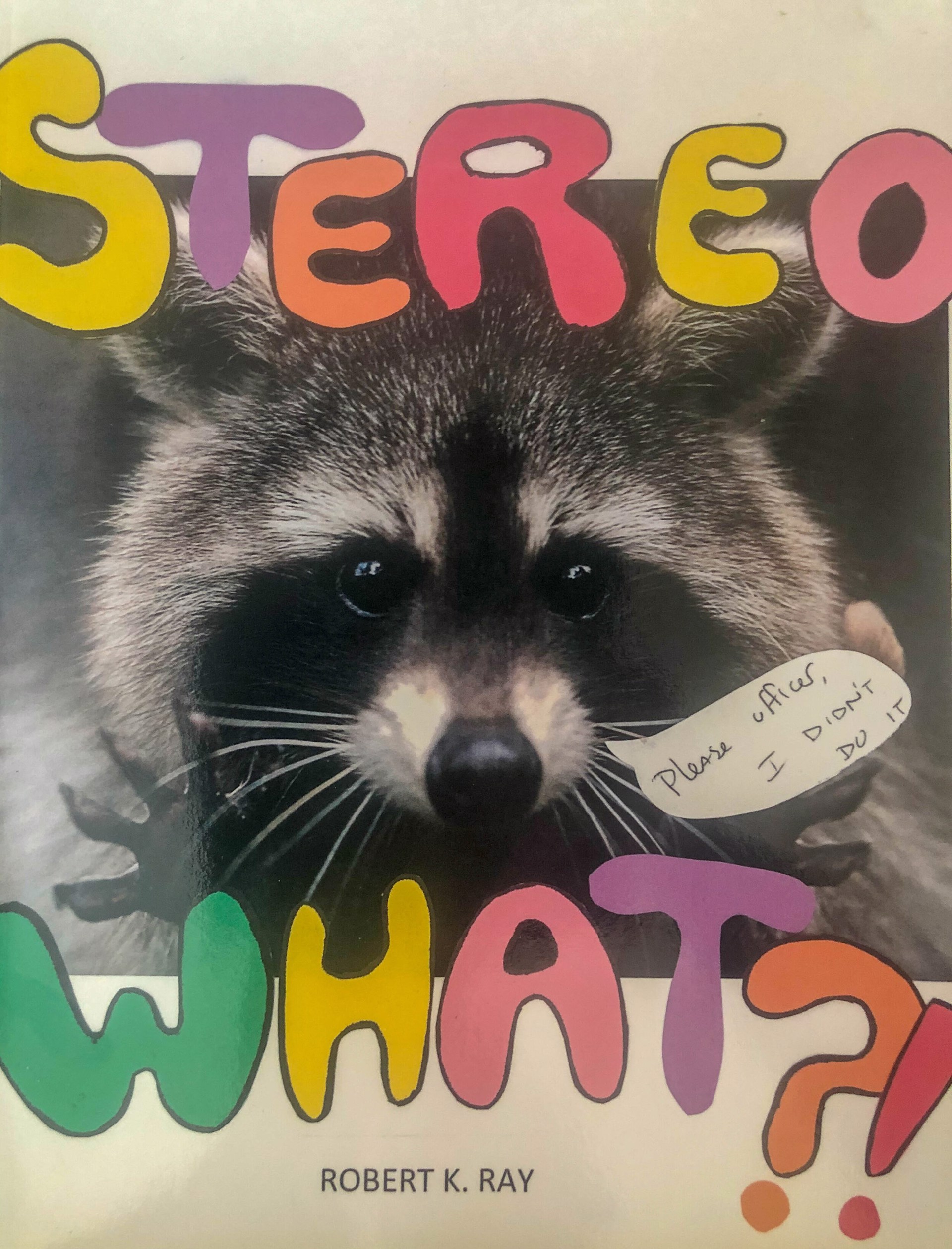 Stereo What? (A book) by Robert Ray