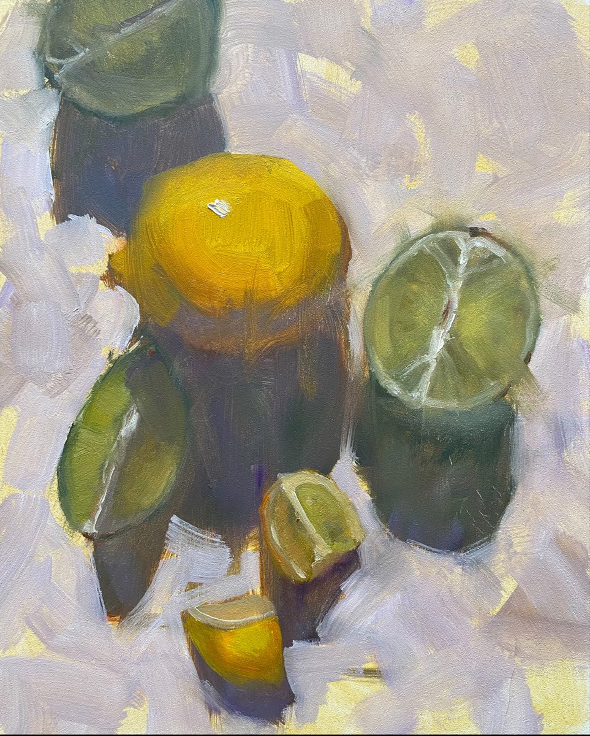 Lemons and Limes by Ann Feldman