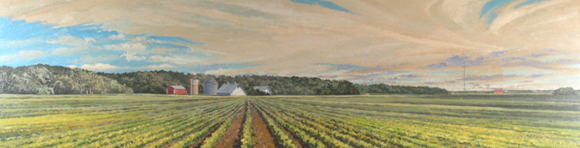 Soybean Field by Tim Klunder