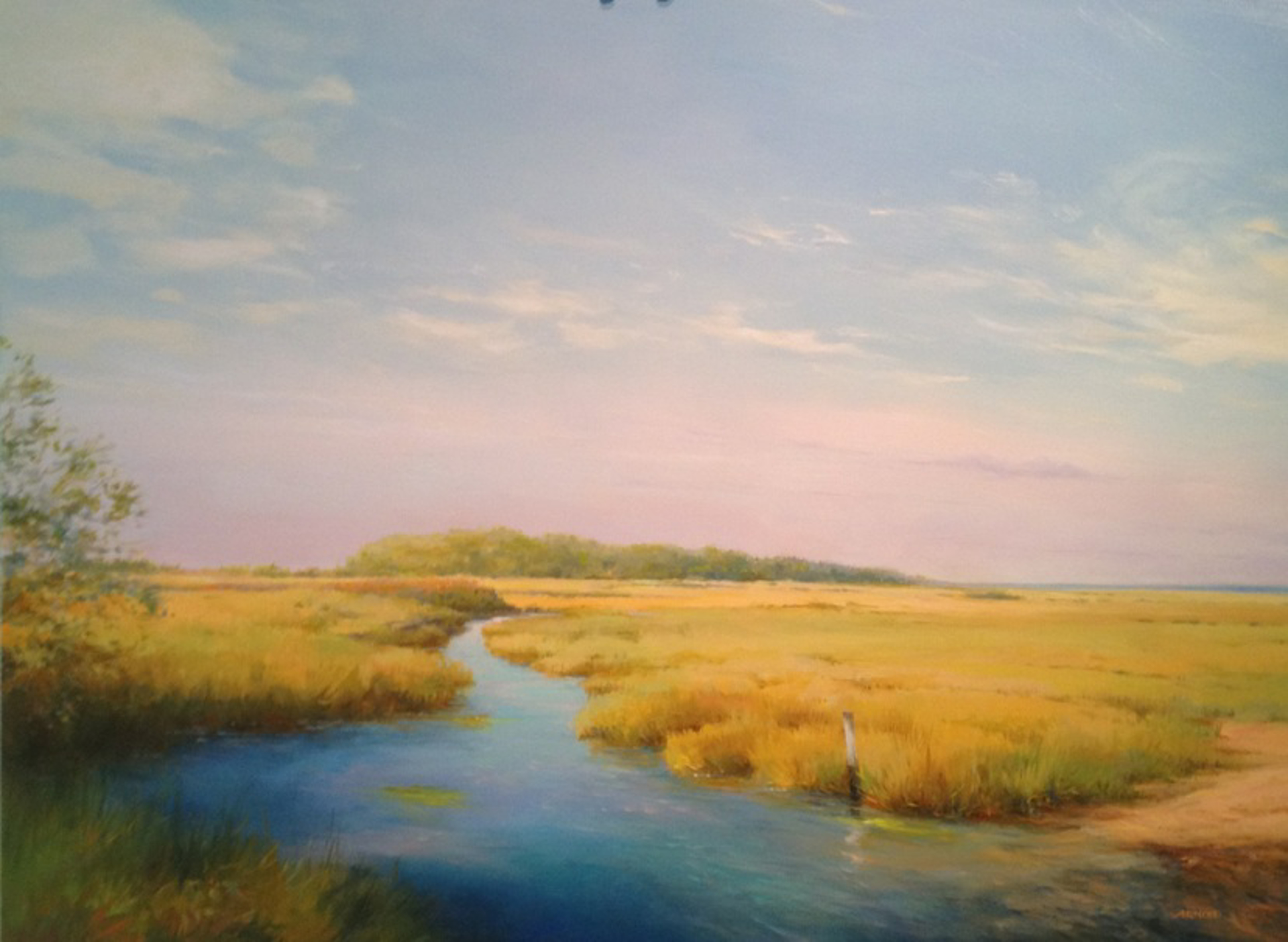 Summer Marsh by Arnold Desmarais