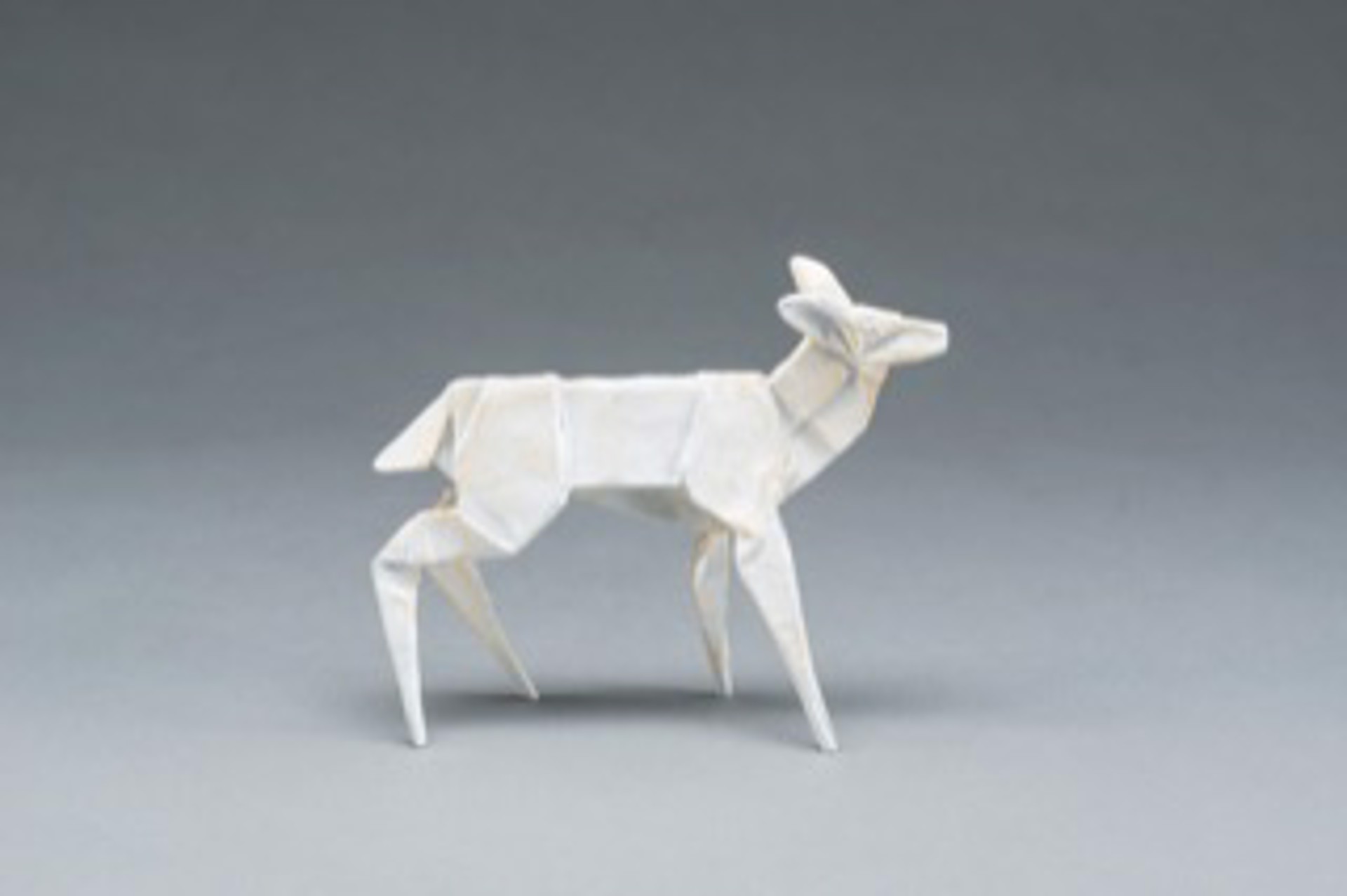 Ghost Fawn (collaboration with Robert Lang) by KEVIN BOX