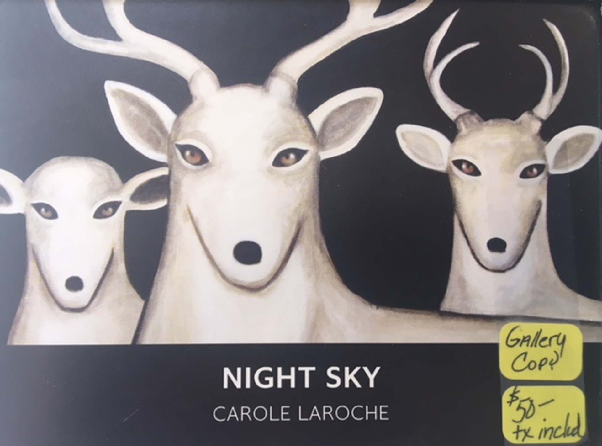 BOOK NIGHT SKY $50 Cloth by Carole LaRoche