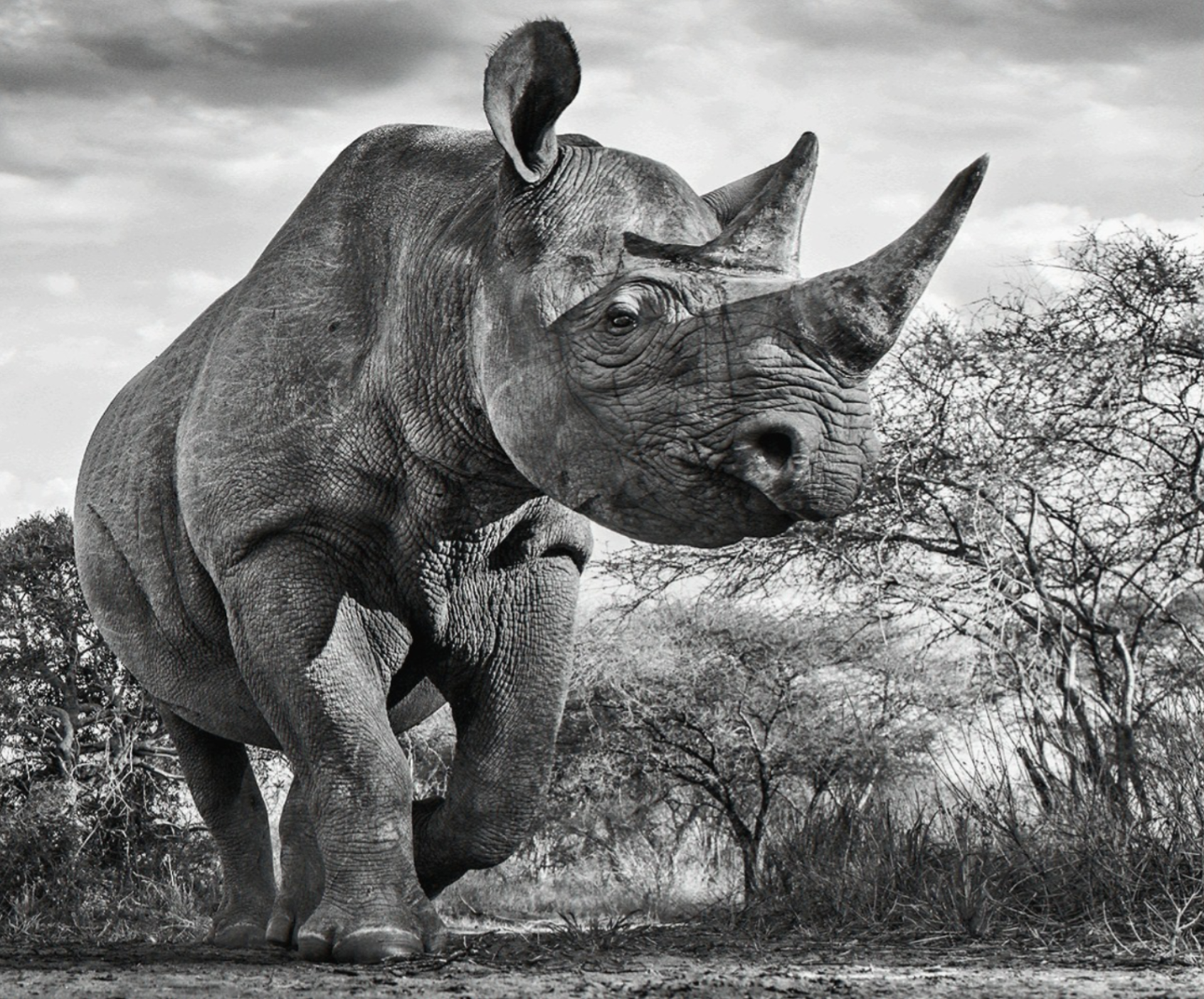 The Departed by David Yarrow