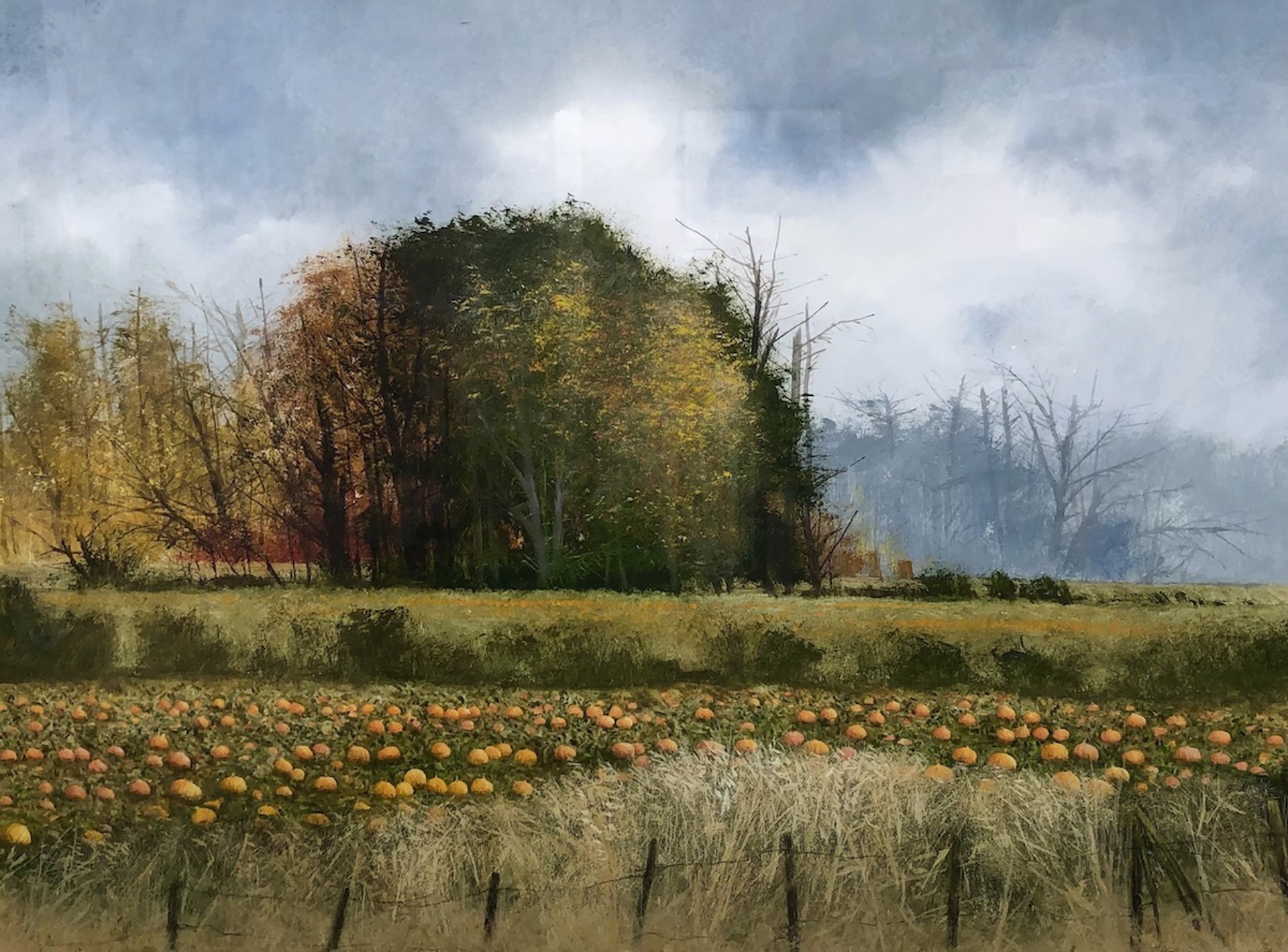 November Harvest by Miguel Dominguez