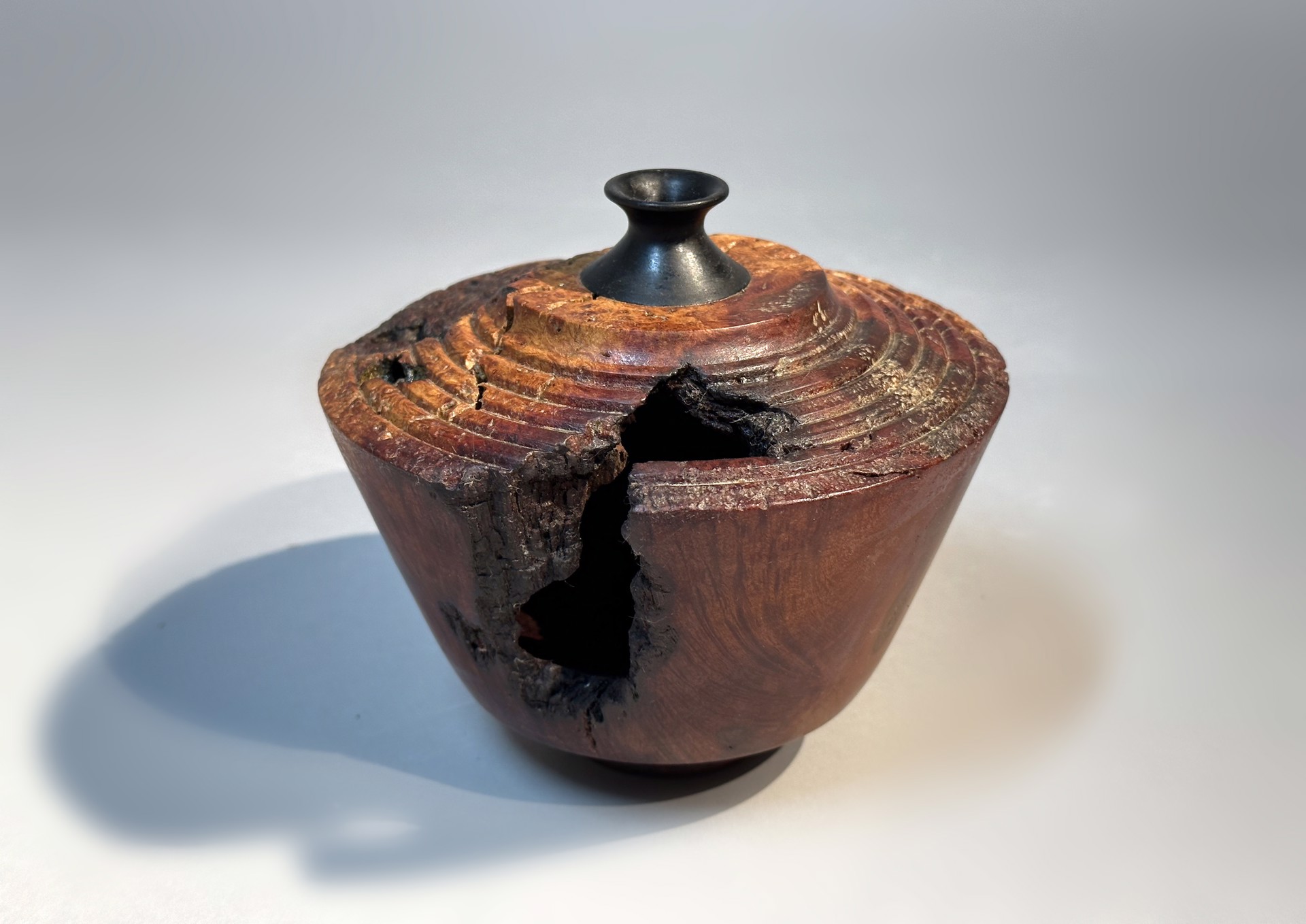 Narrow Neck Manzanita Burl Vase by Russ Coker
