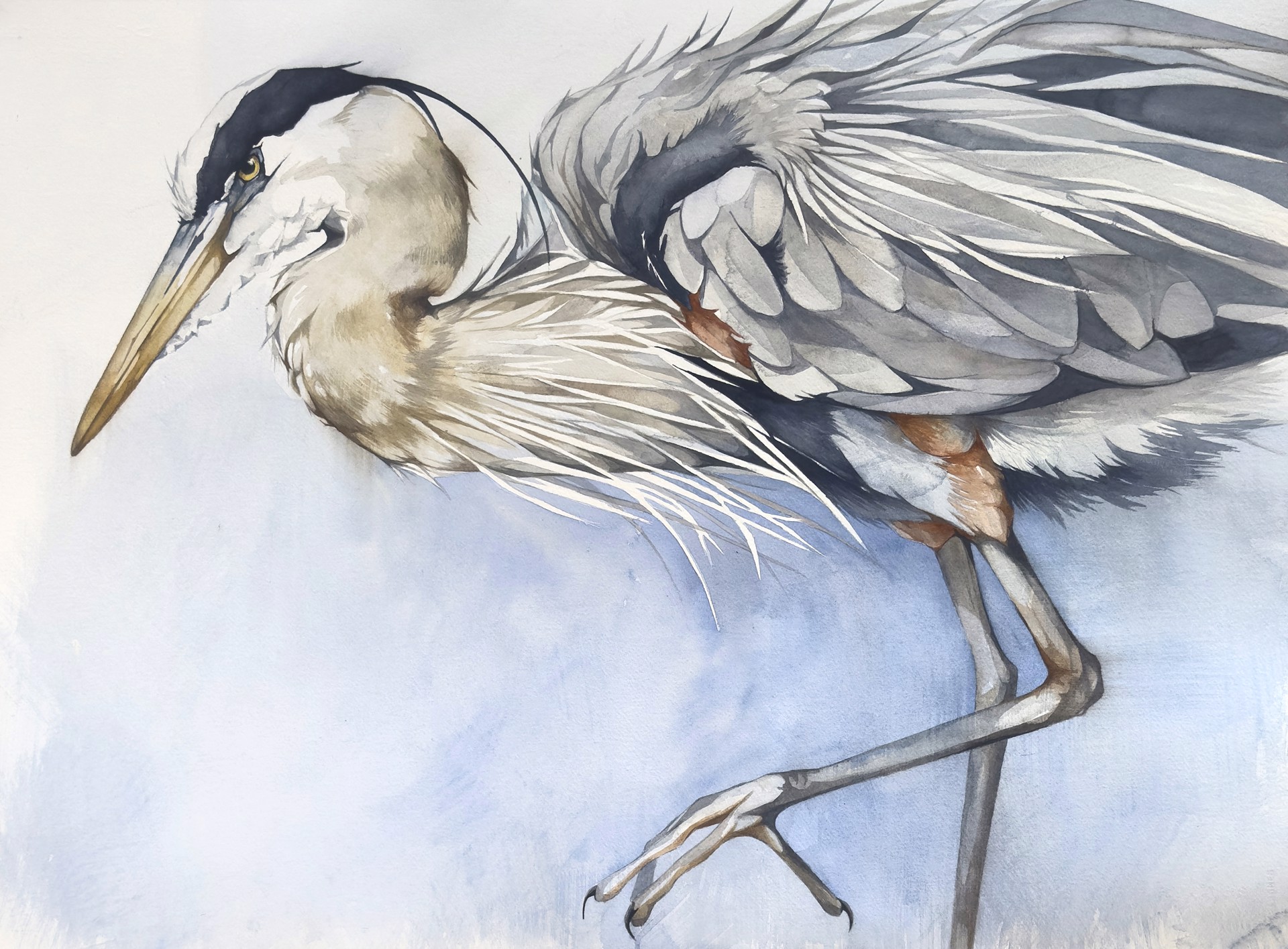 Somewhere is Now (Great Blue Heron) by Jennifer Anderson