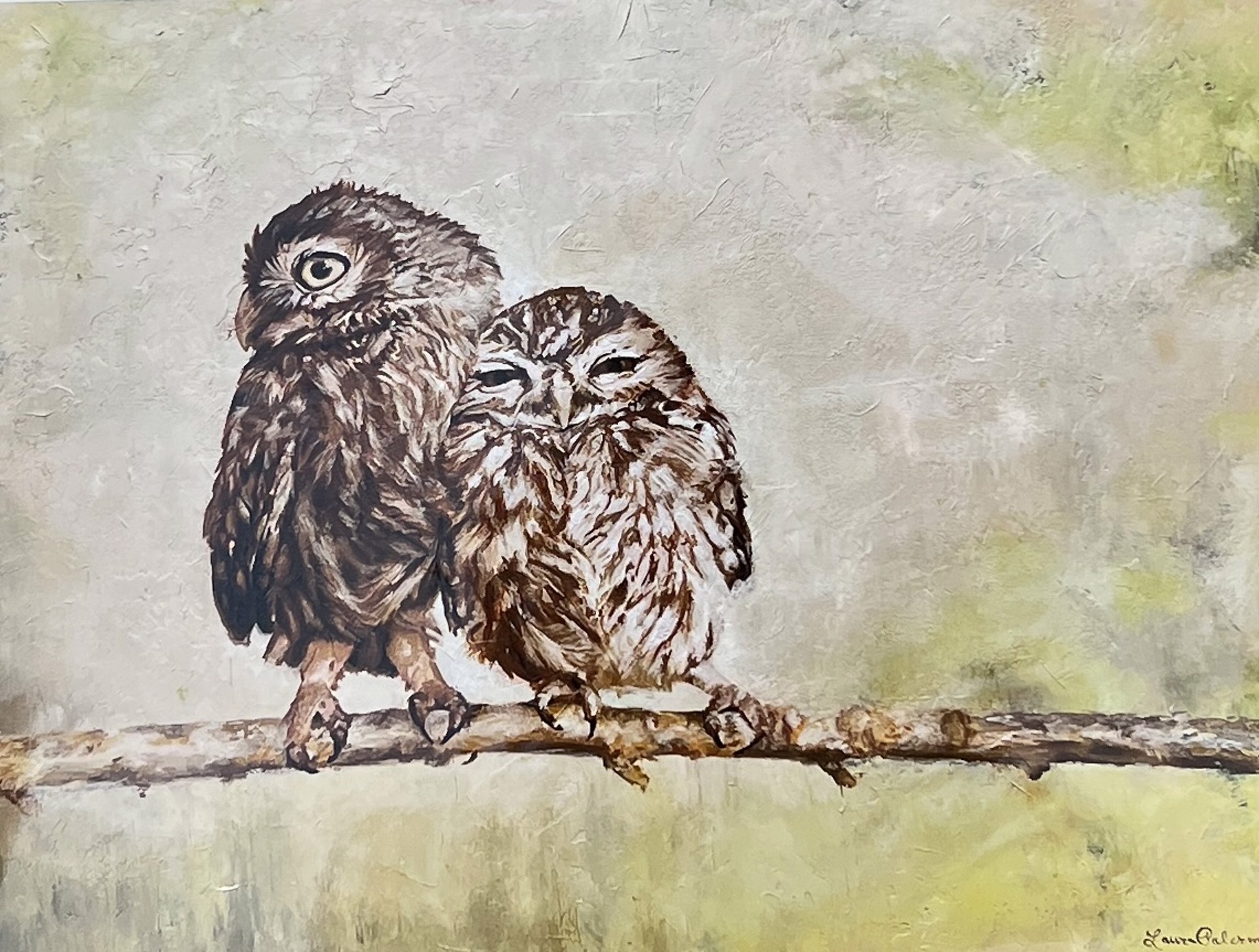 Burrowing Owls by Laura Palermo - Giclee Prints