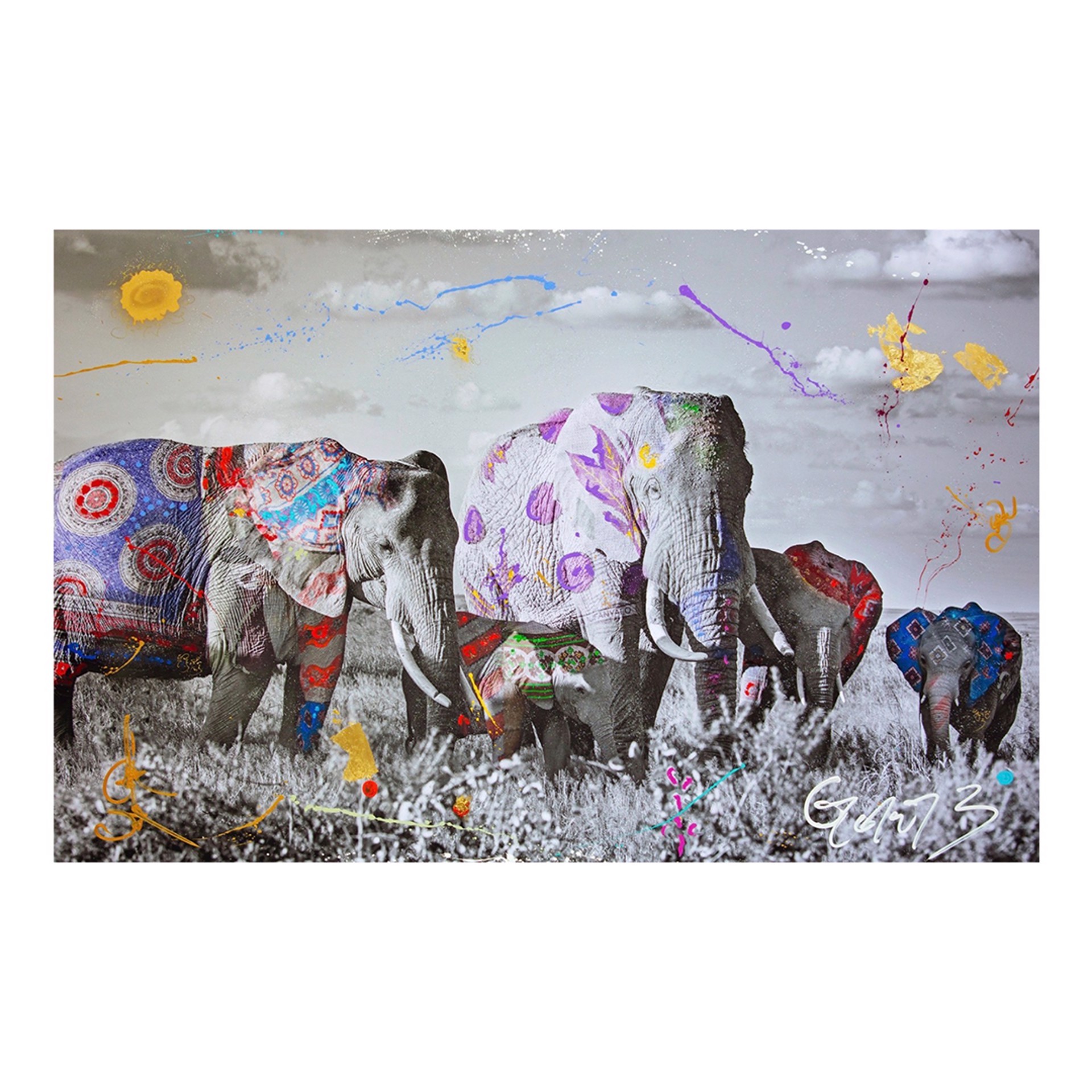 Elephants, Mungano by Arno Elias