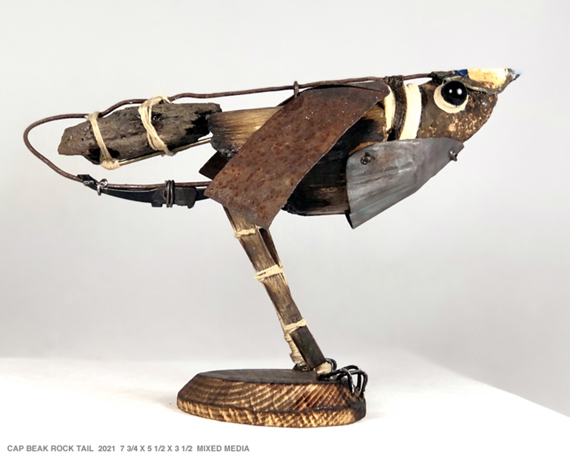 Cap Beak Rock Tail by Andrew Bascle