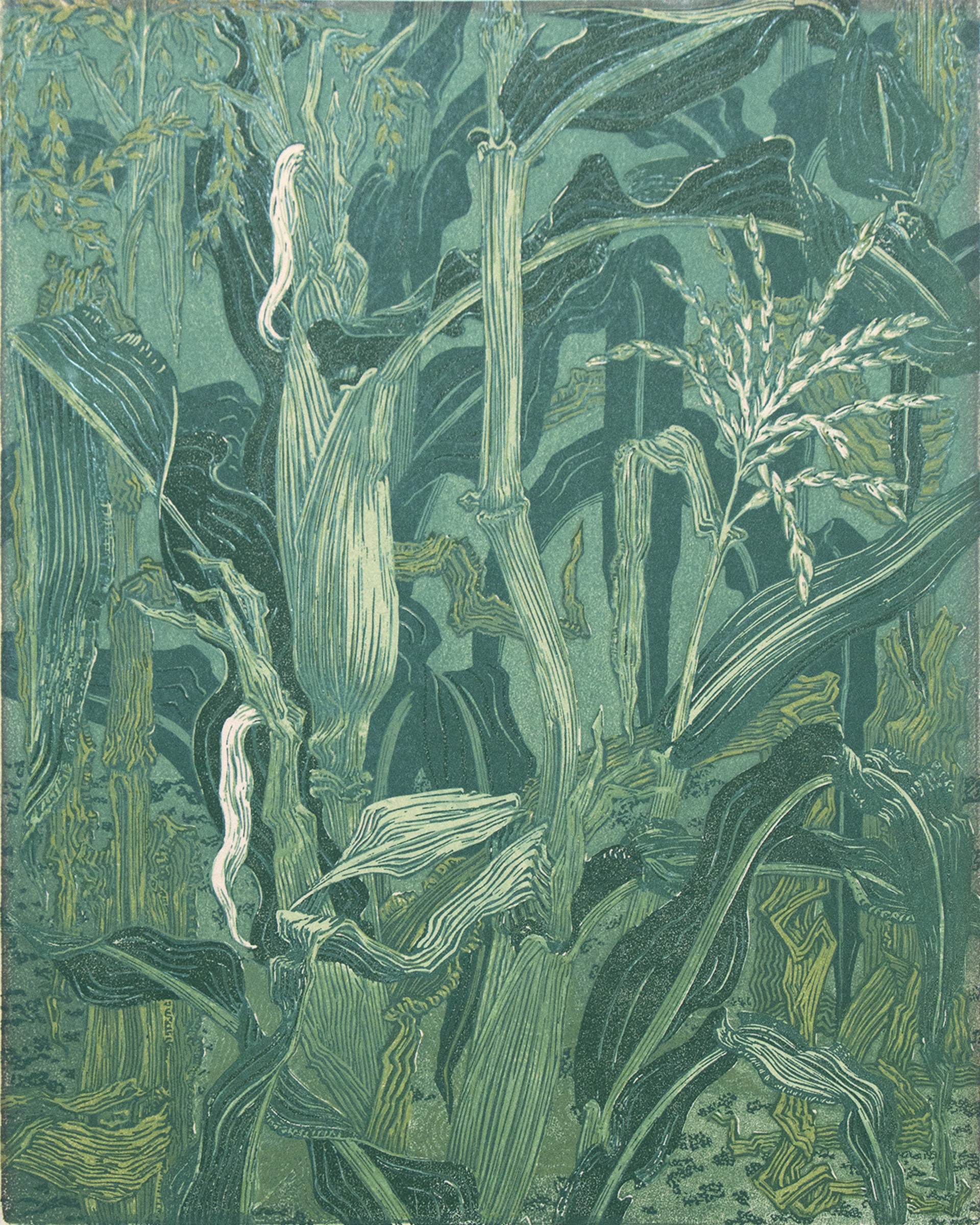 Sweet Corn by Janet Turner