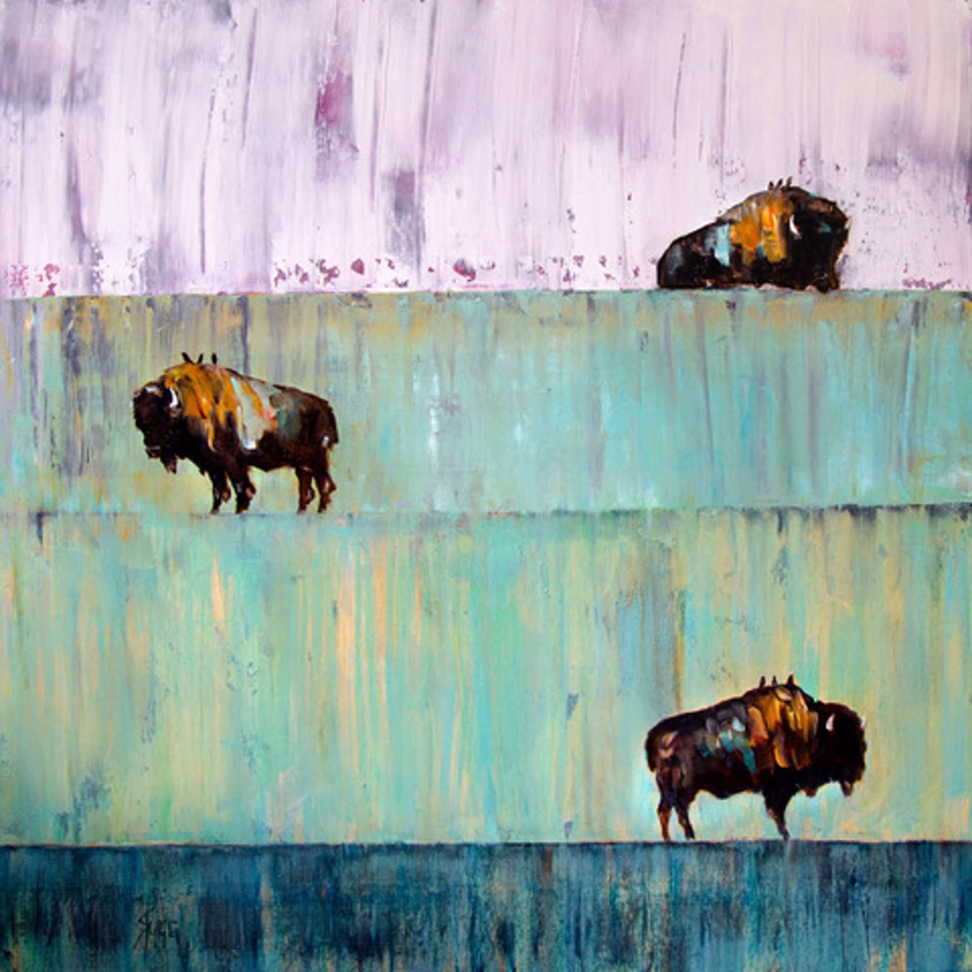 Bison at Sunset by Janice SUGG