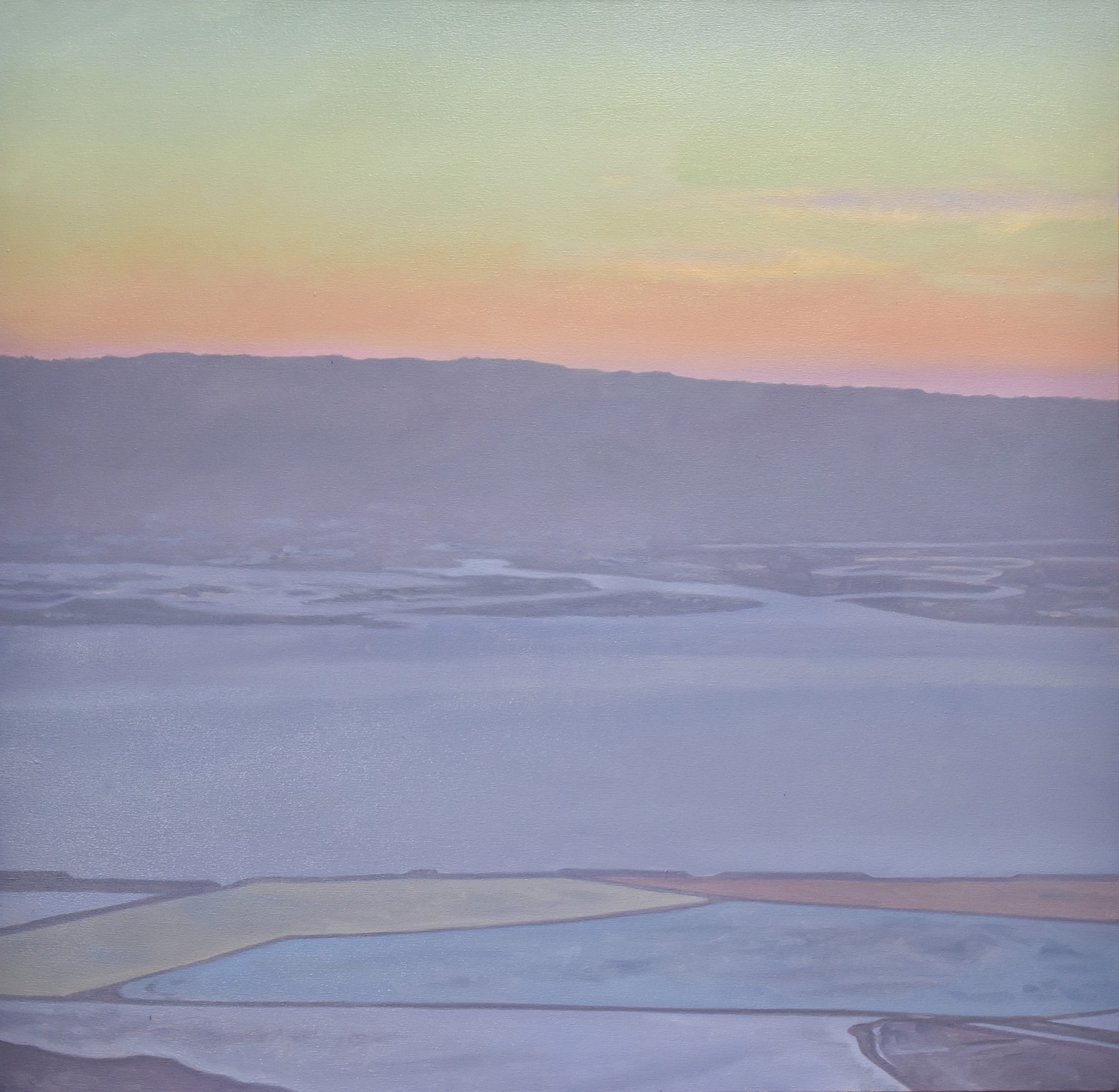 Salt Ponds by Willard Dixon