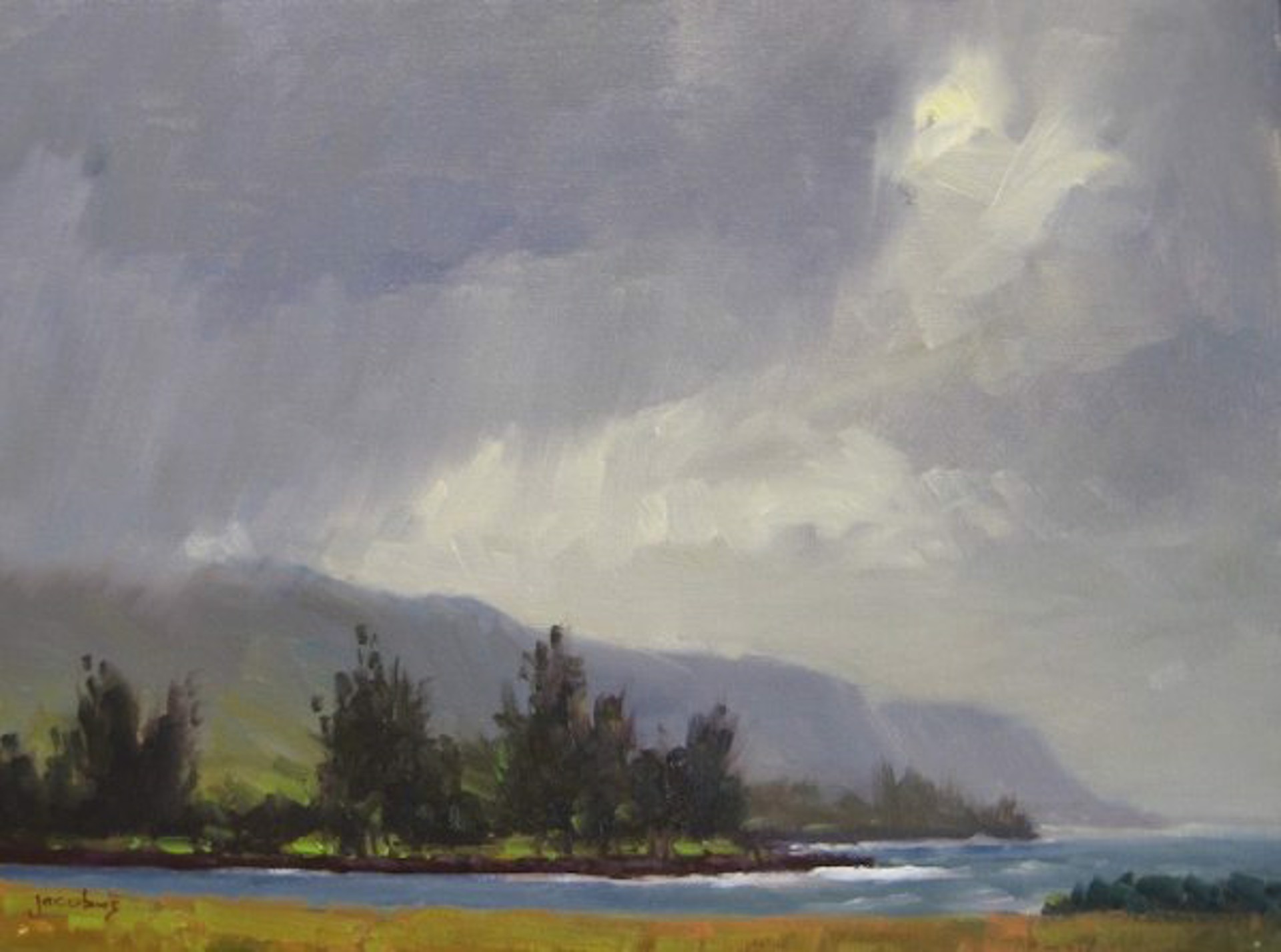 Storm Clouds Over Waialua by Jacobus Baas