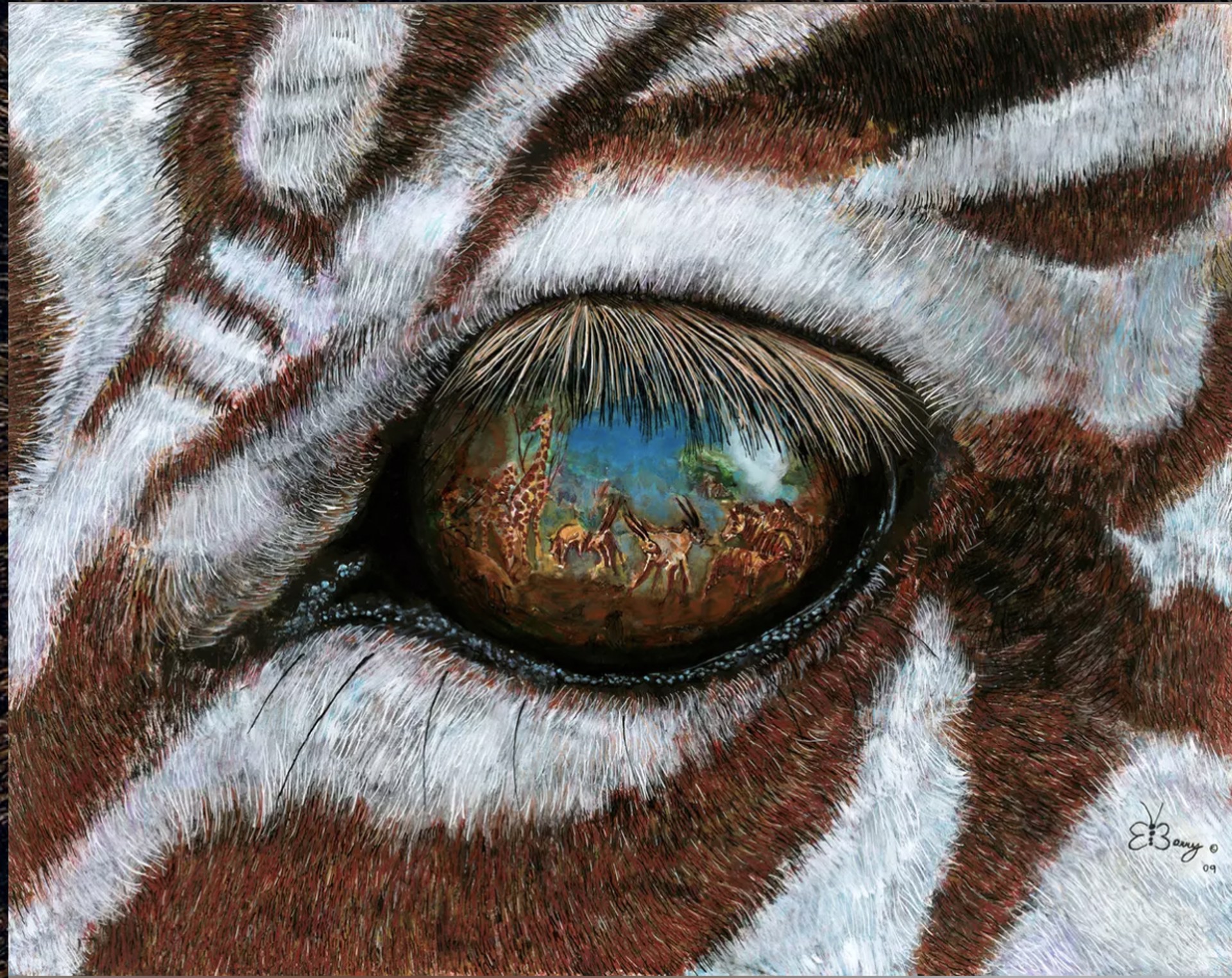 Grevy Eye by Barry Levin