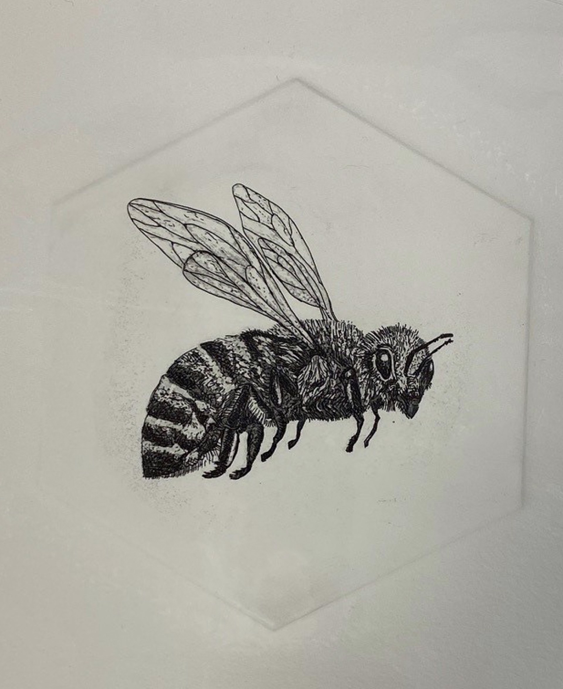 Honey Bee #1 by Marit Berg