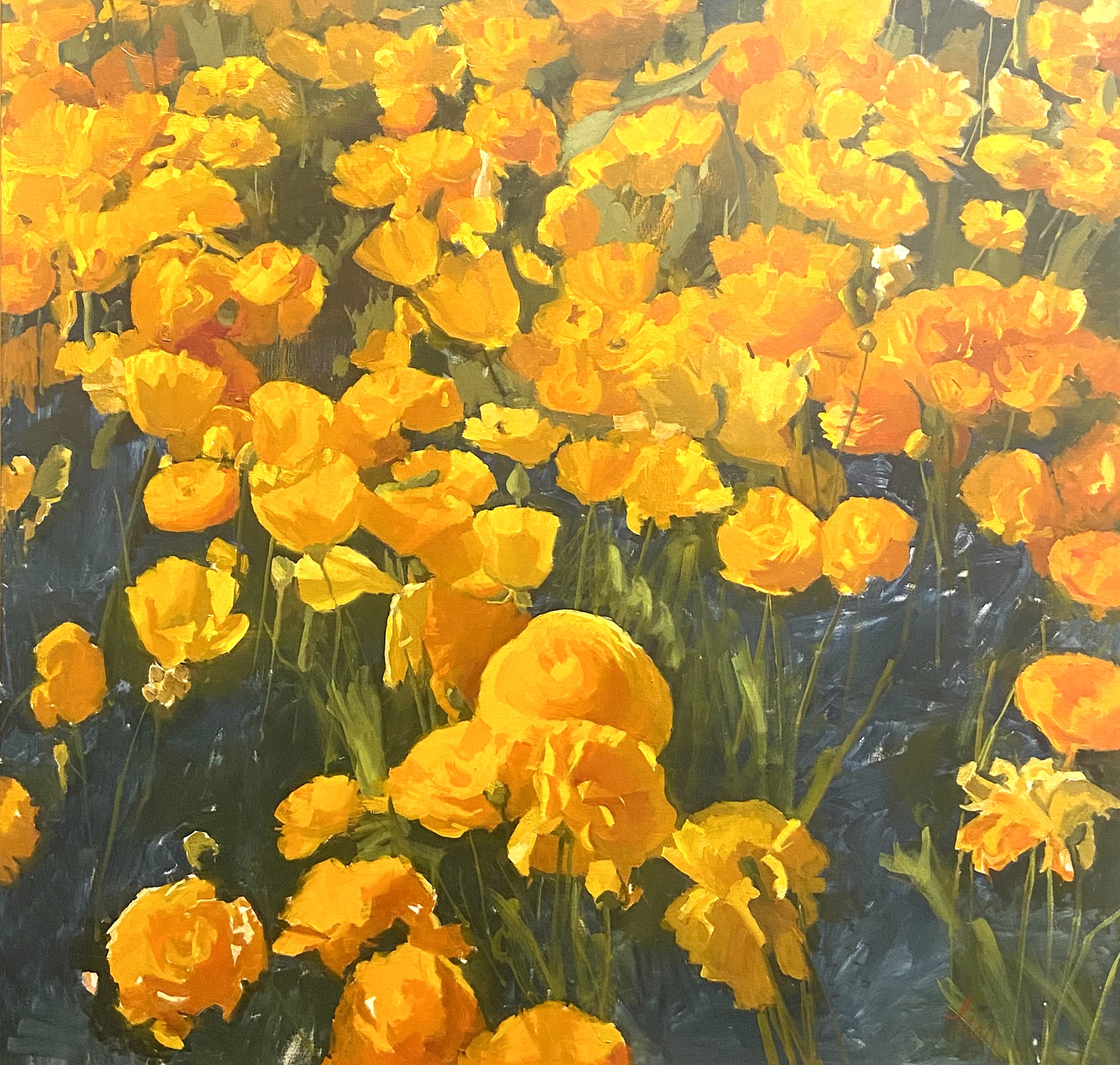 Yellow Ranunculus by Laura Murphey