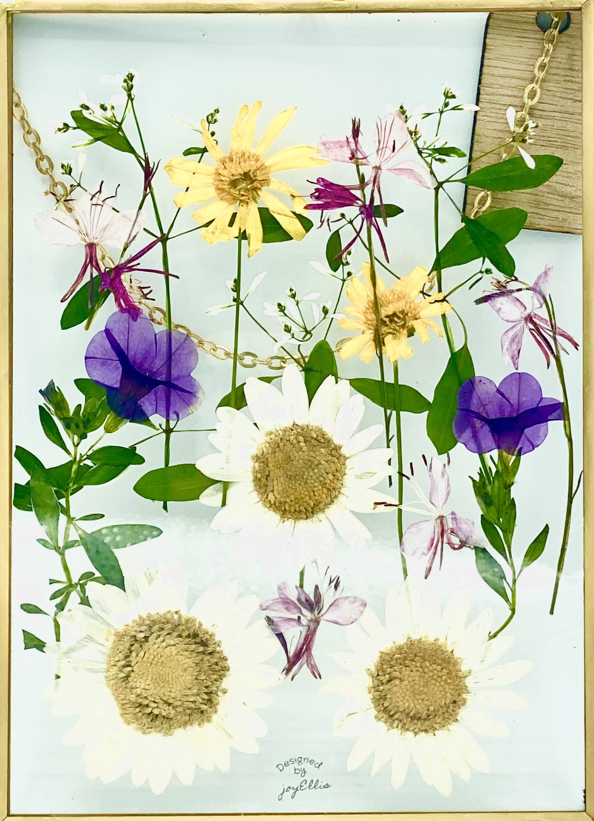 Daisies And Friends by Joy Ellis