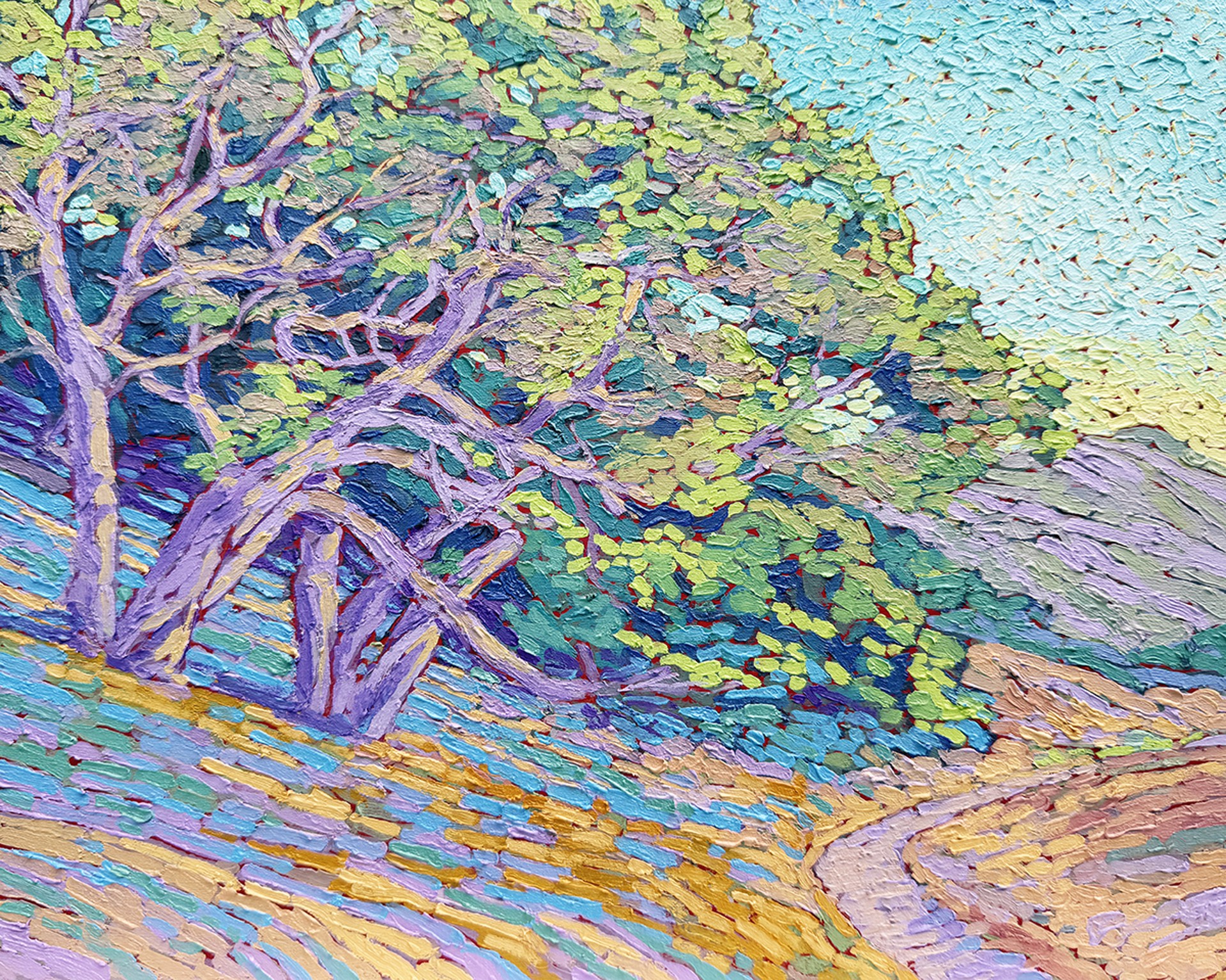 Trail with Oaks, Palo Corona, Carmel Valley, study by Jeffrey Becom