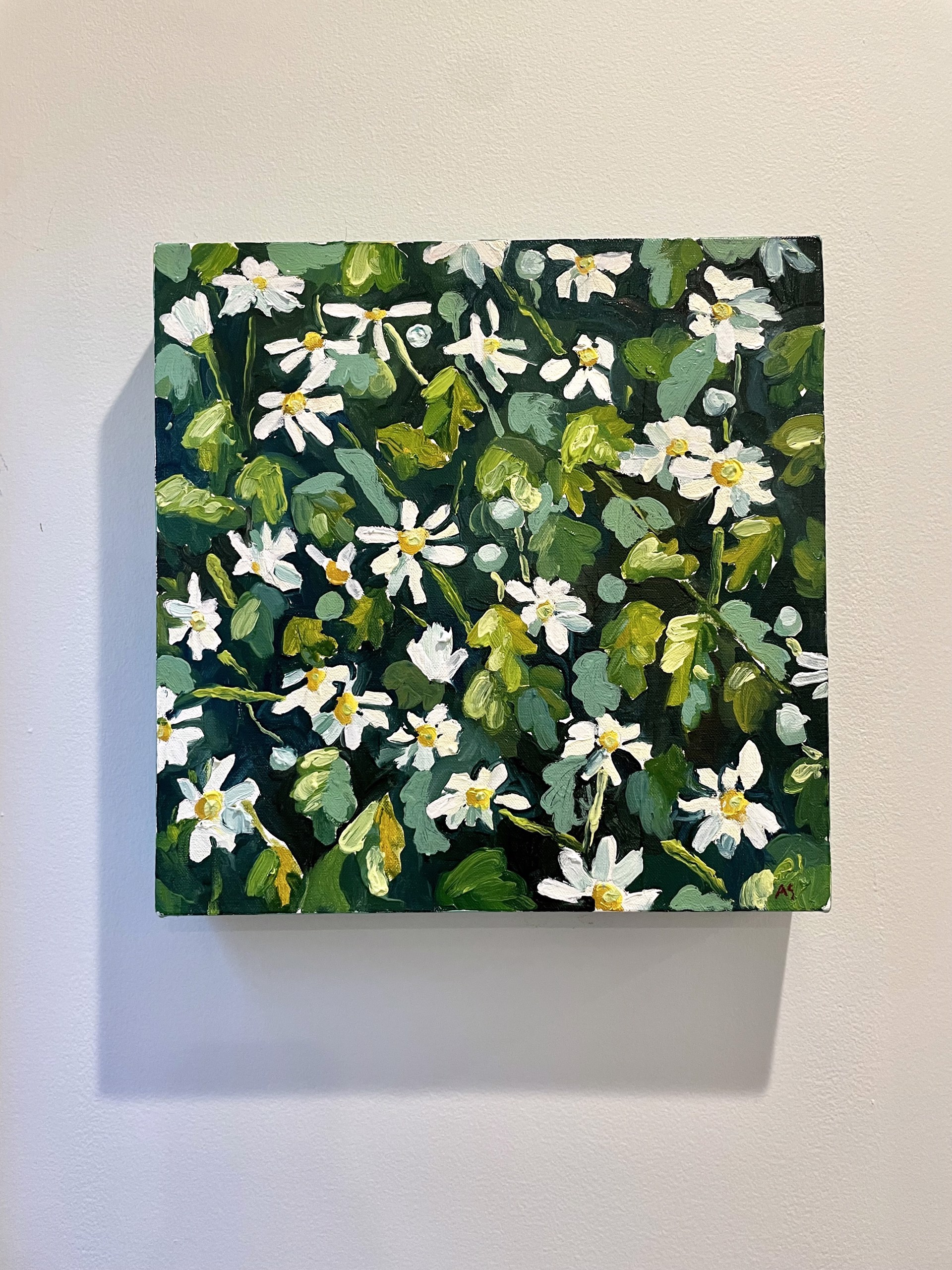 Daisies I by Avery Schuster