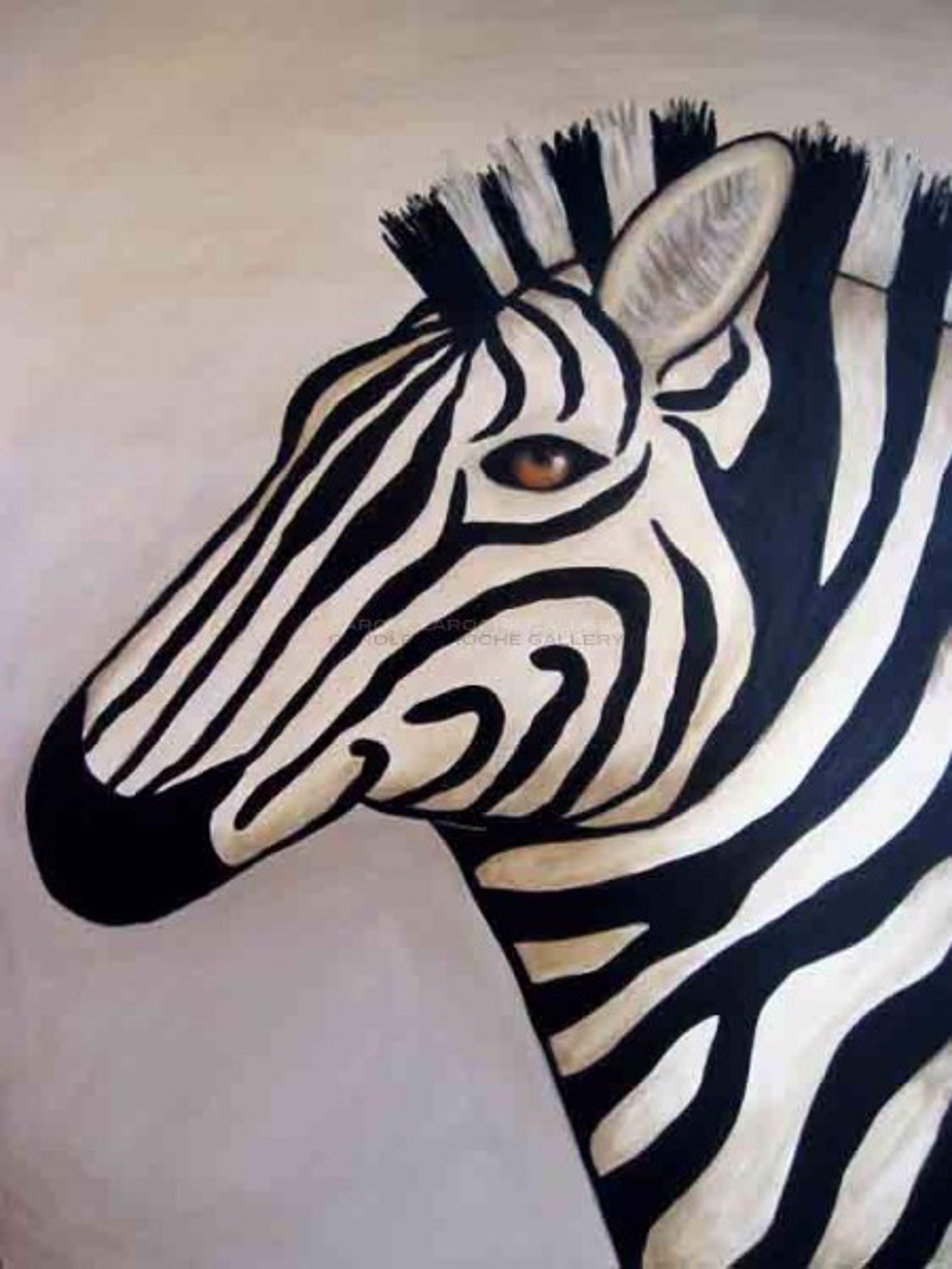 White Zebra by Carole LaRoche