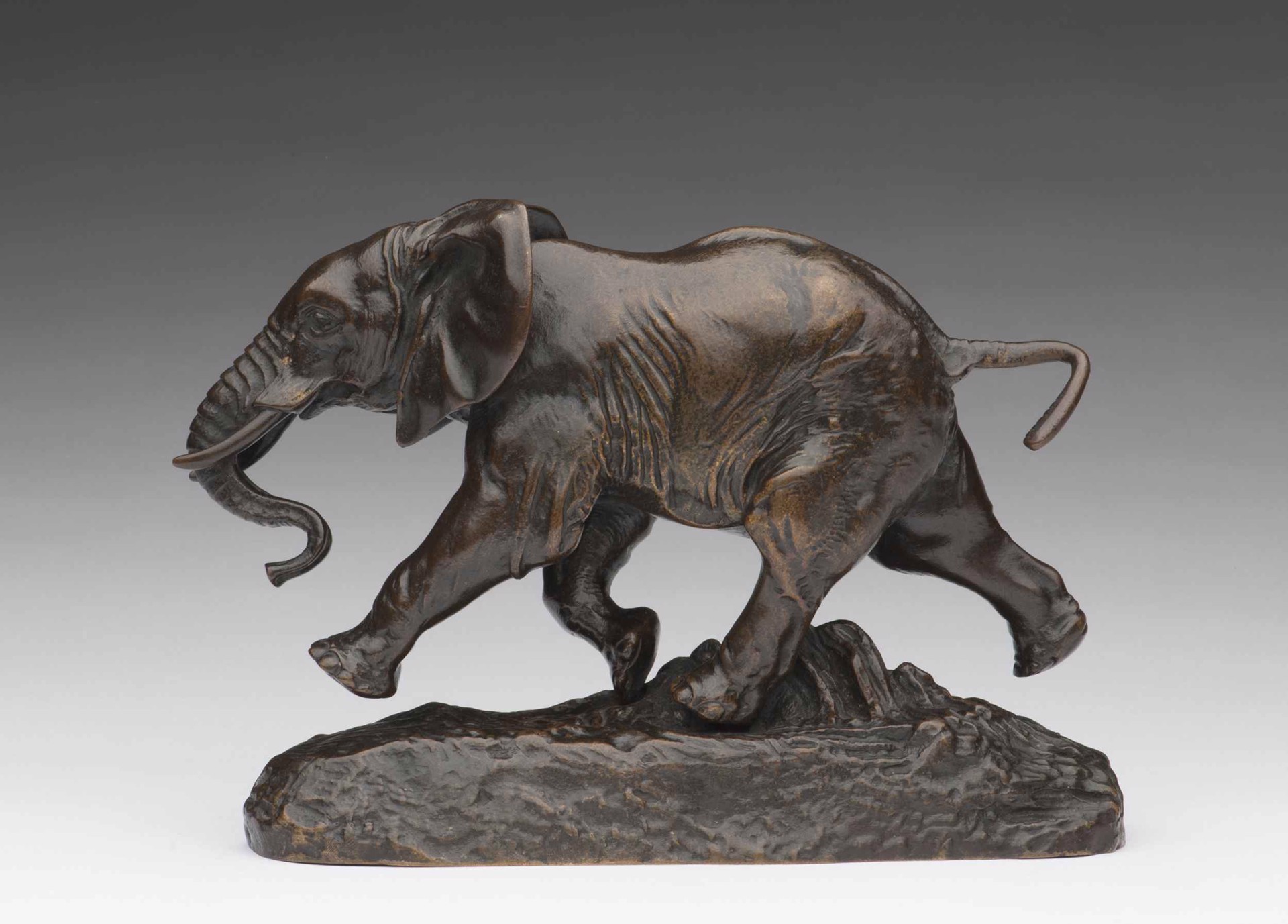 Elephant of Senegal by Antoine-Louis Barye