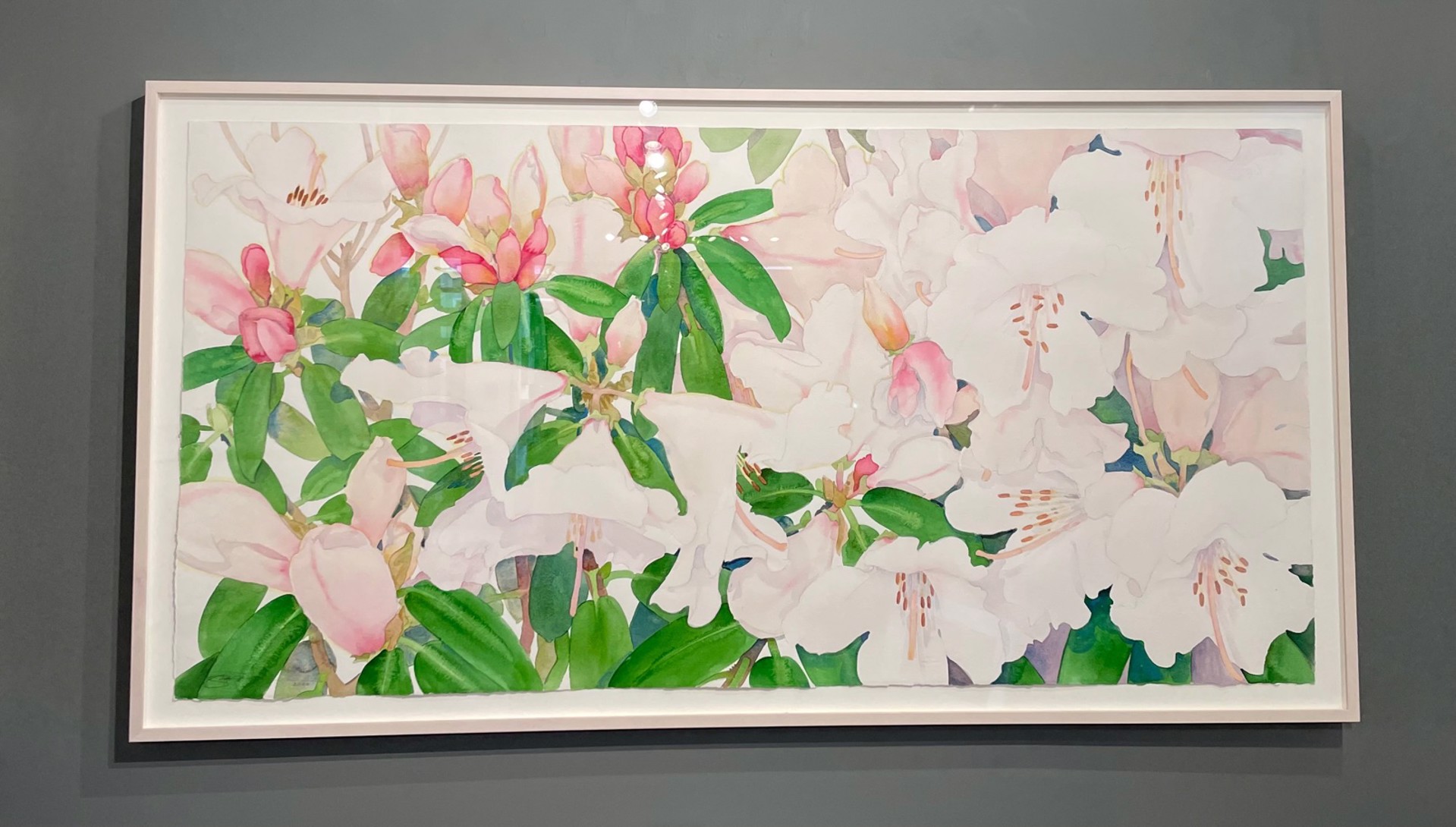 Rhododendrons by Gary Bukovnik
