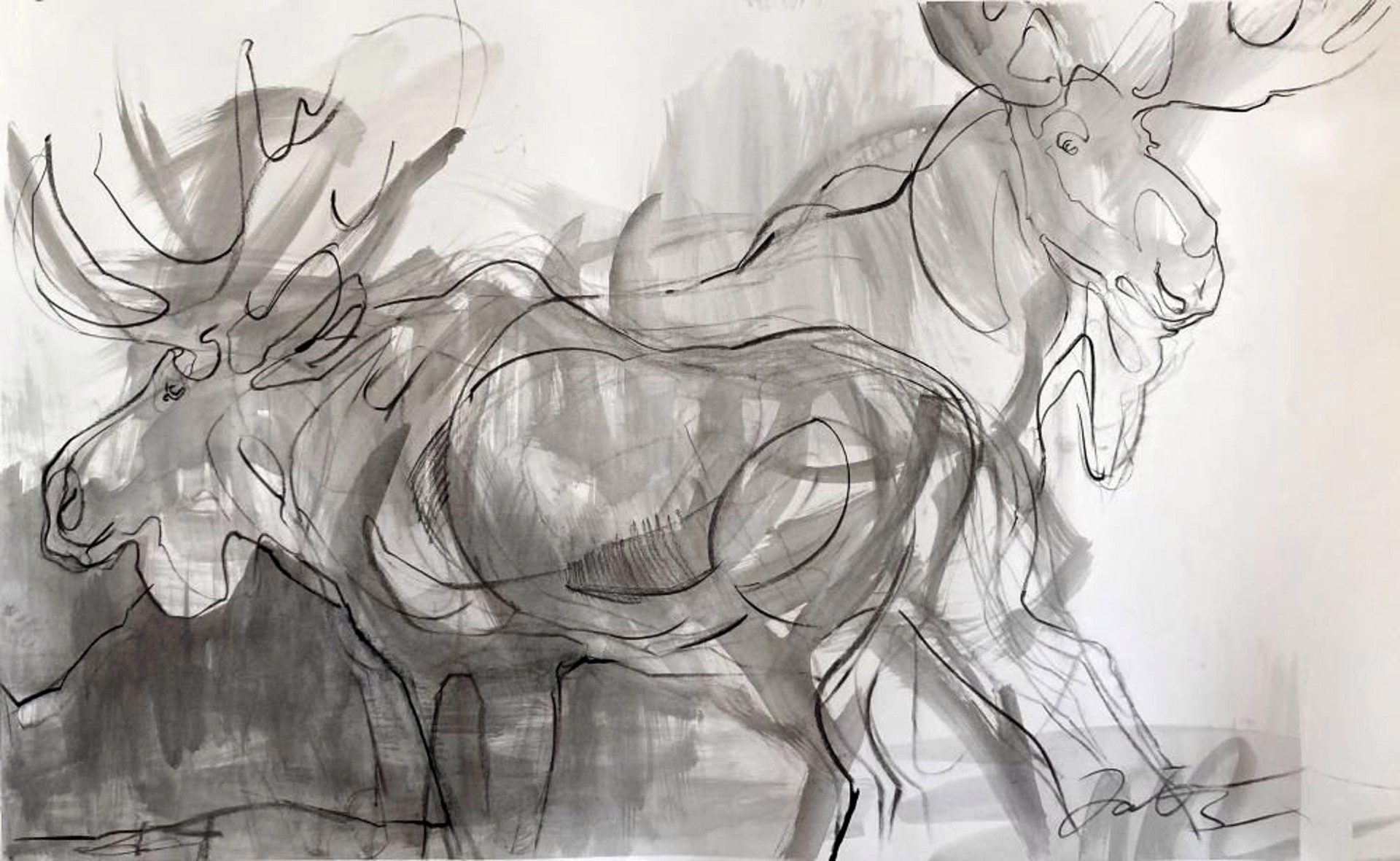 Original Charcoal Drawing By Taryn Boals Featuring Two Bull Moose
