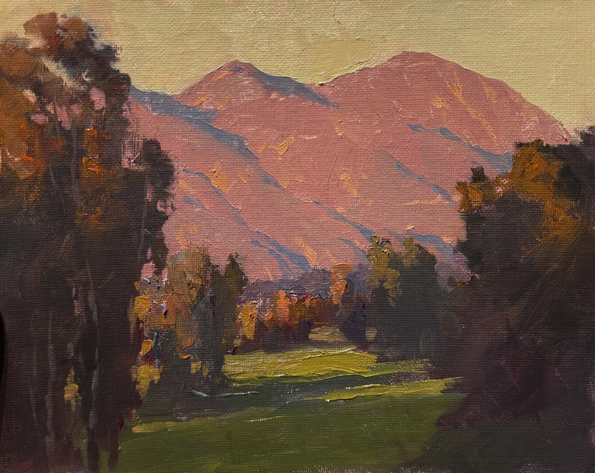 Valley Afternoon Orange County by Michael Obermeyer