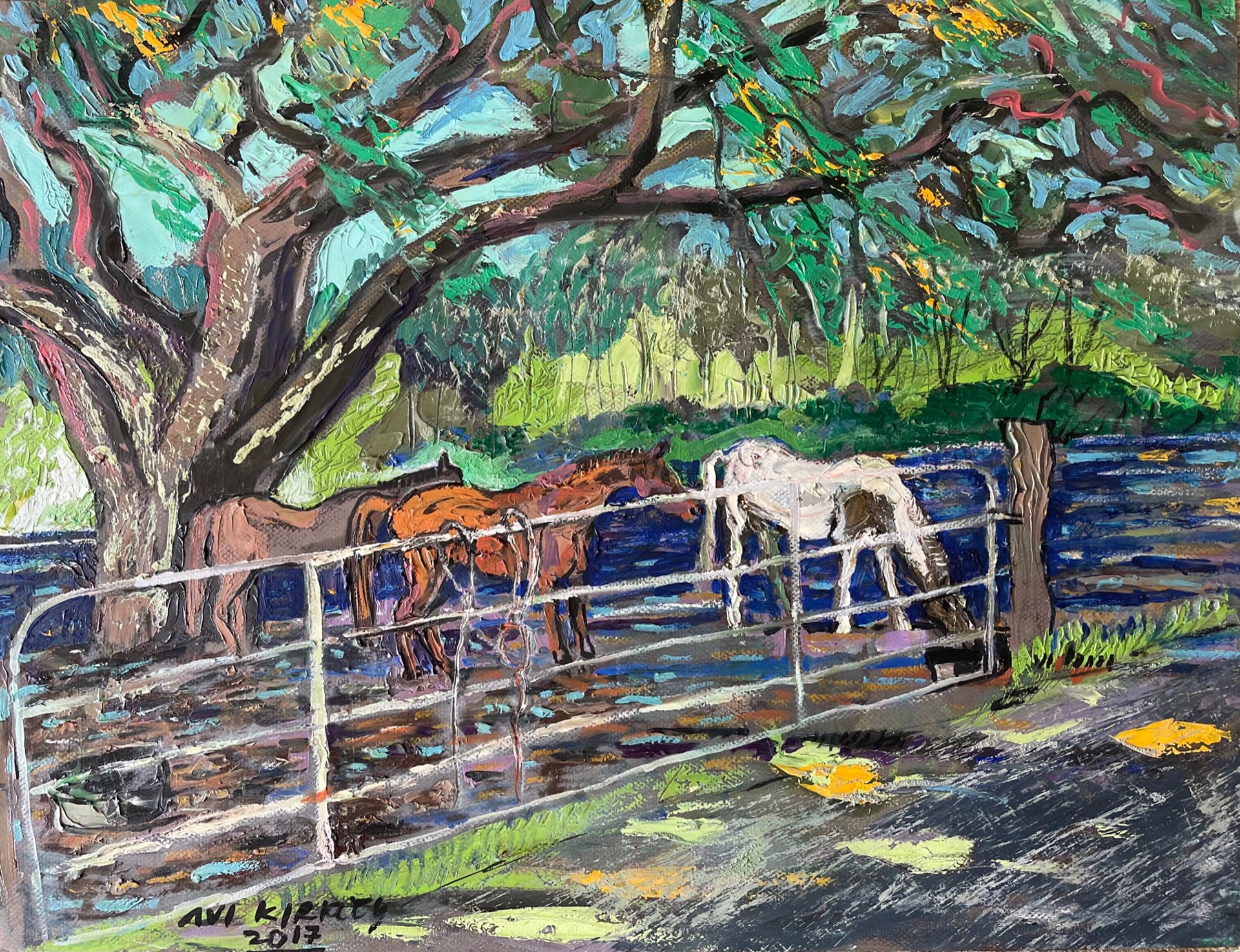 Kaupo Road Horses by Avi Kiriaty