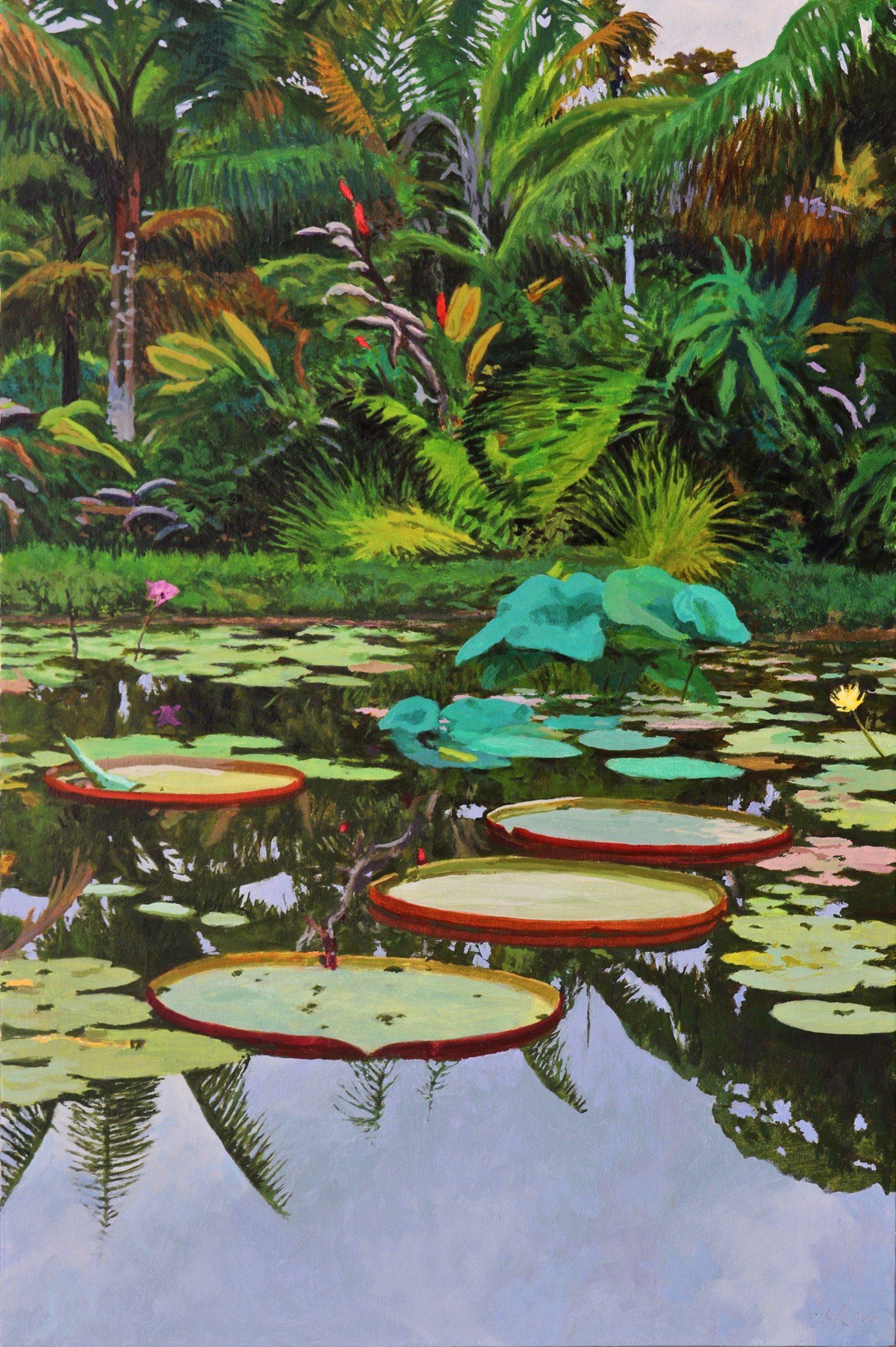 Lily Pond at Pana'ewa by Peter Loftus