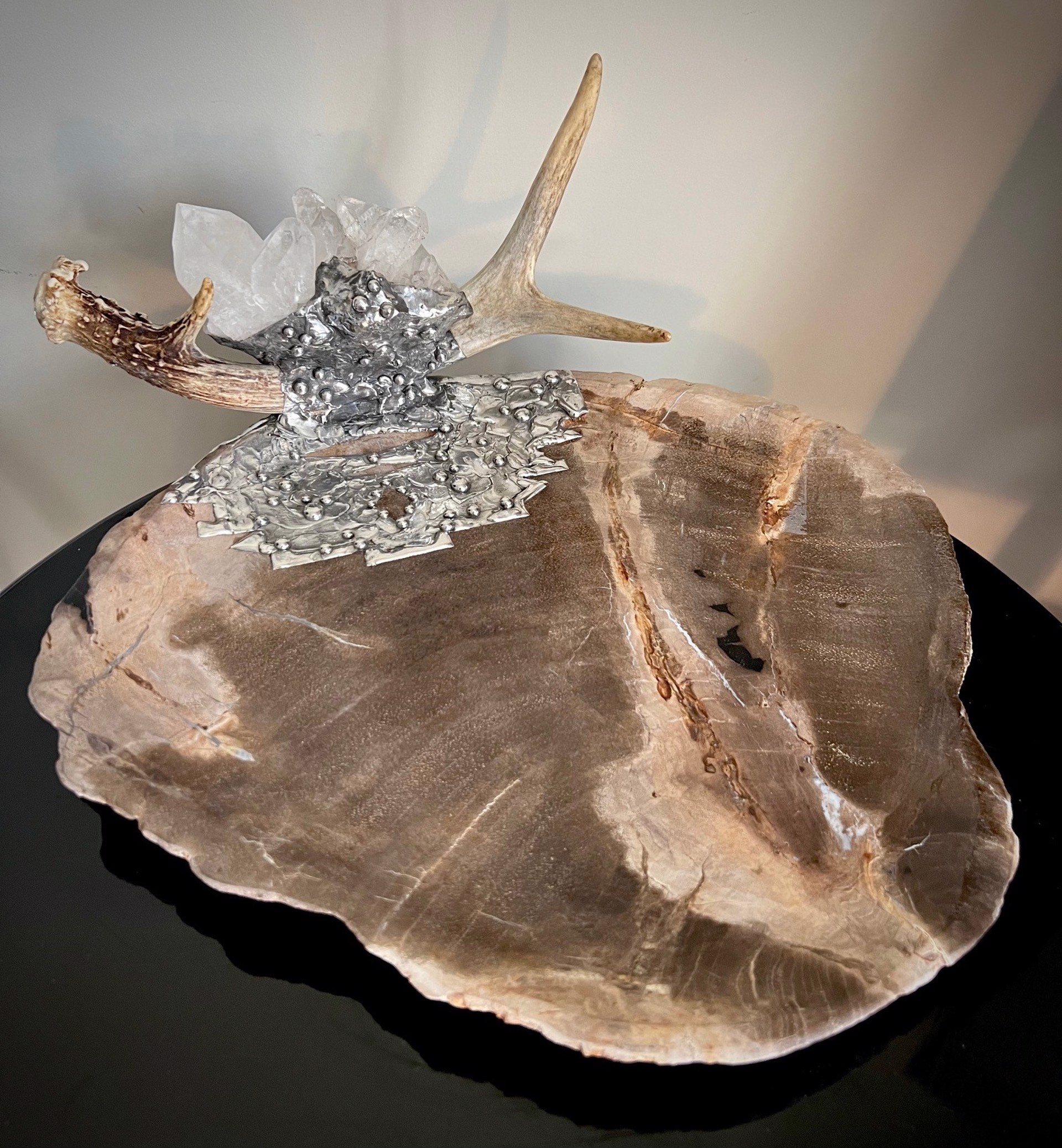 Natural Neutral Petrified Wood Platter with Qtz and Antler by Trinka 5 Designs