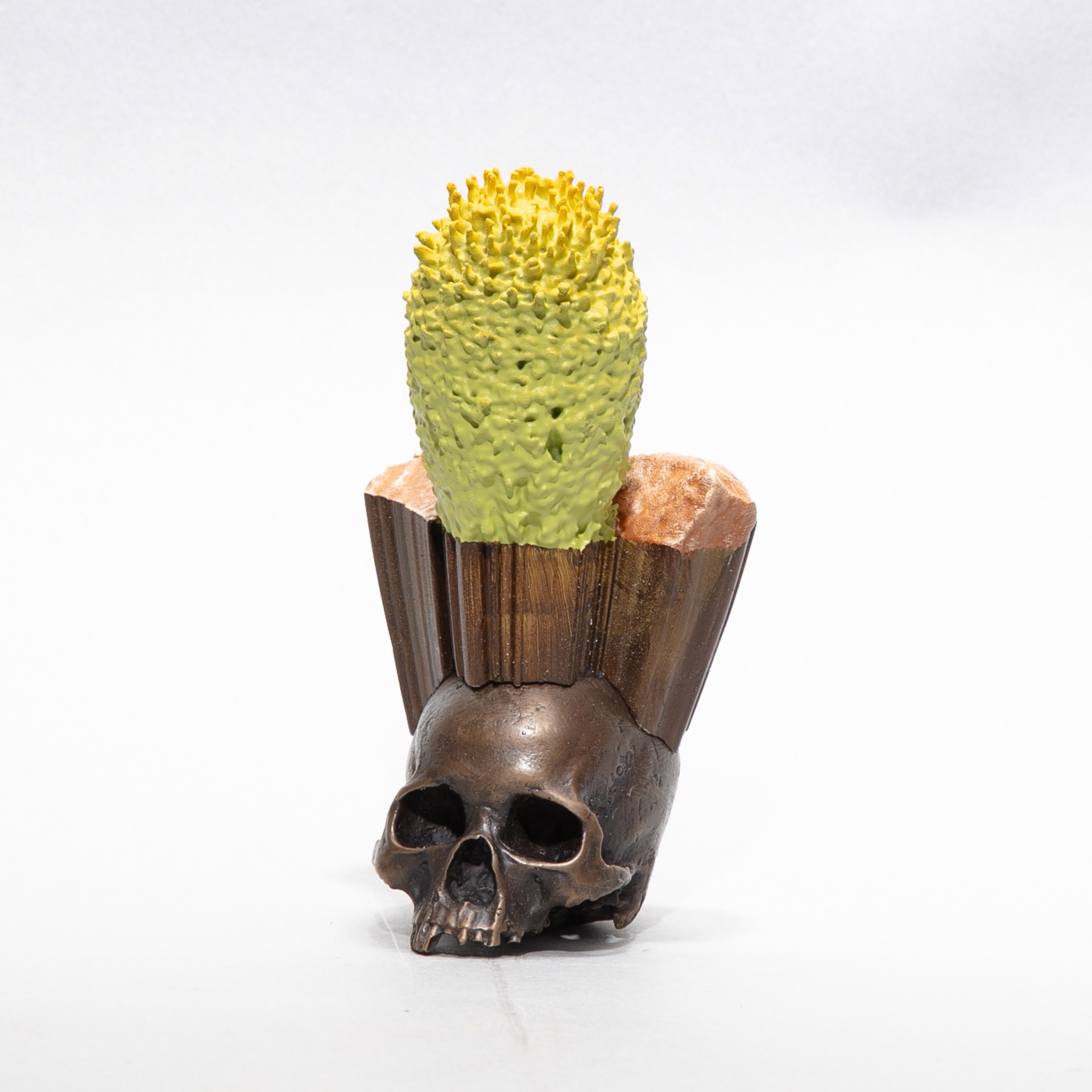 "Cactus Skull 2" by Dana Younger
