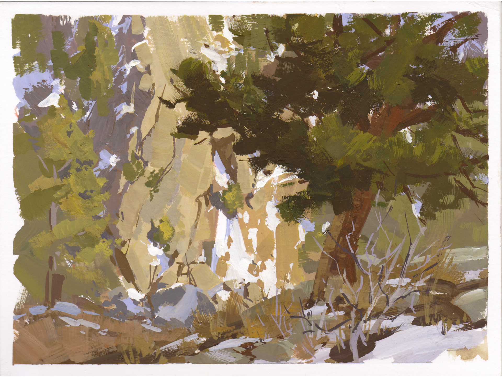 094 - Plein Air-Boulder Falls, CO by Judd Mercer