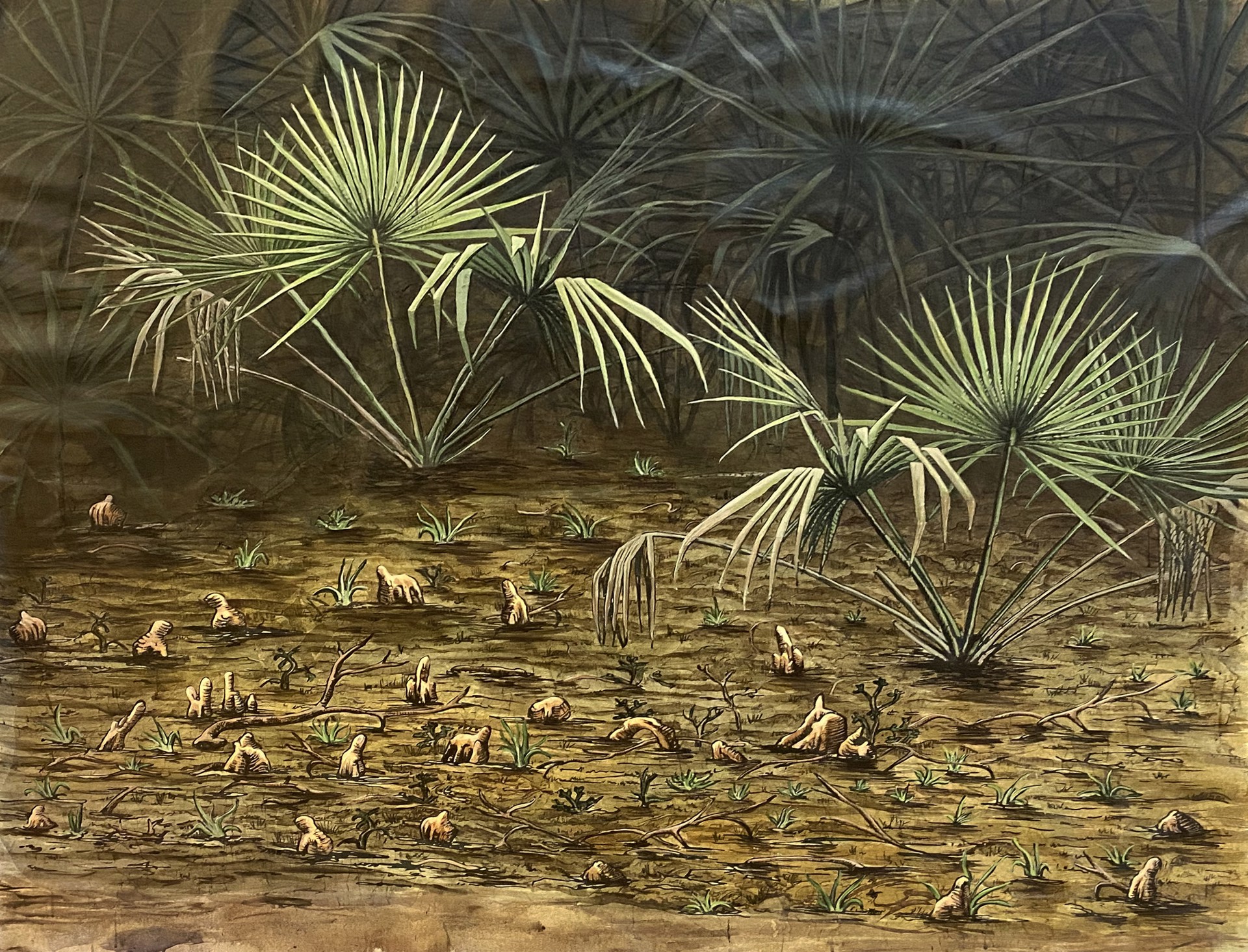 Palmetto by Pippin Frisbie-Calder