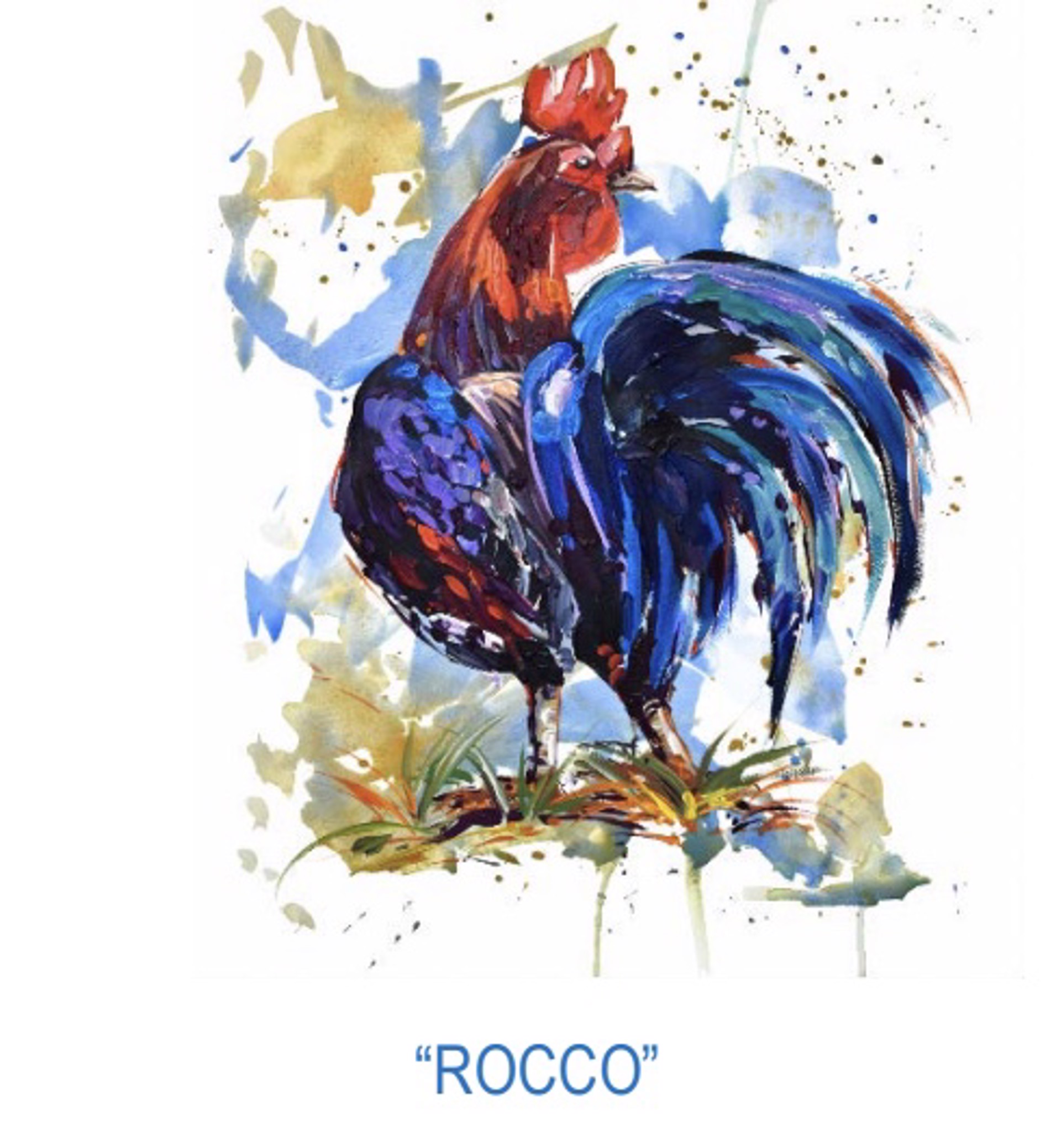 Rocco by Steve Barton