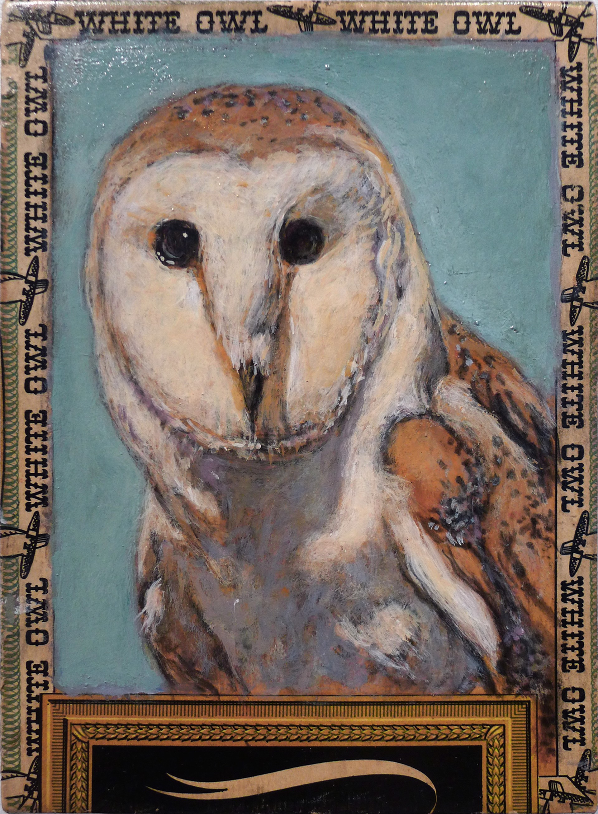 Barn Owl / White Owl by Ed Musante