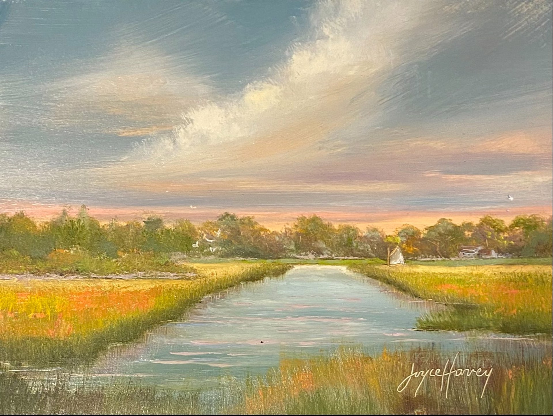 Up The Creek by Joyce Harvey