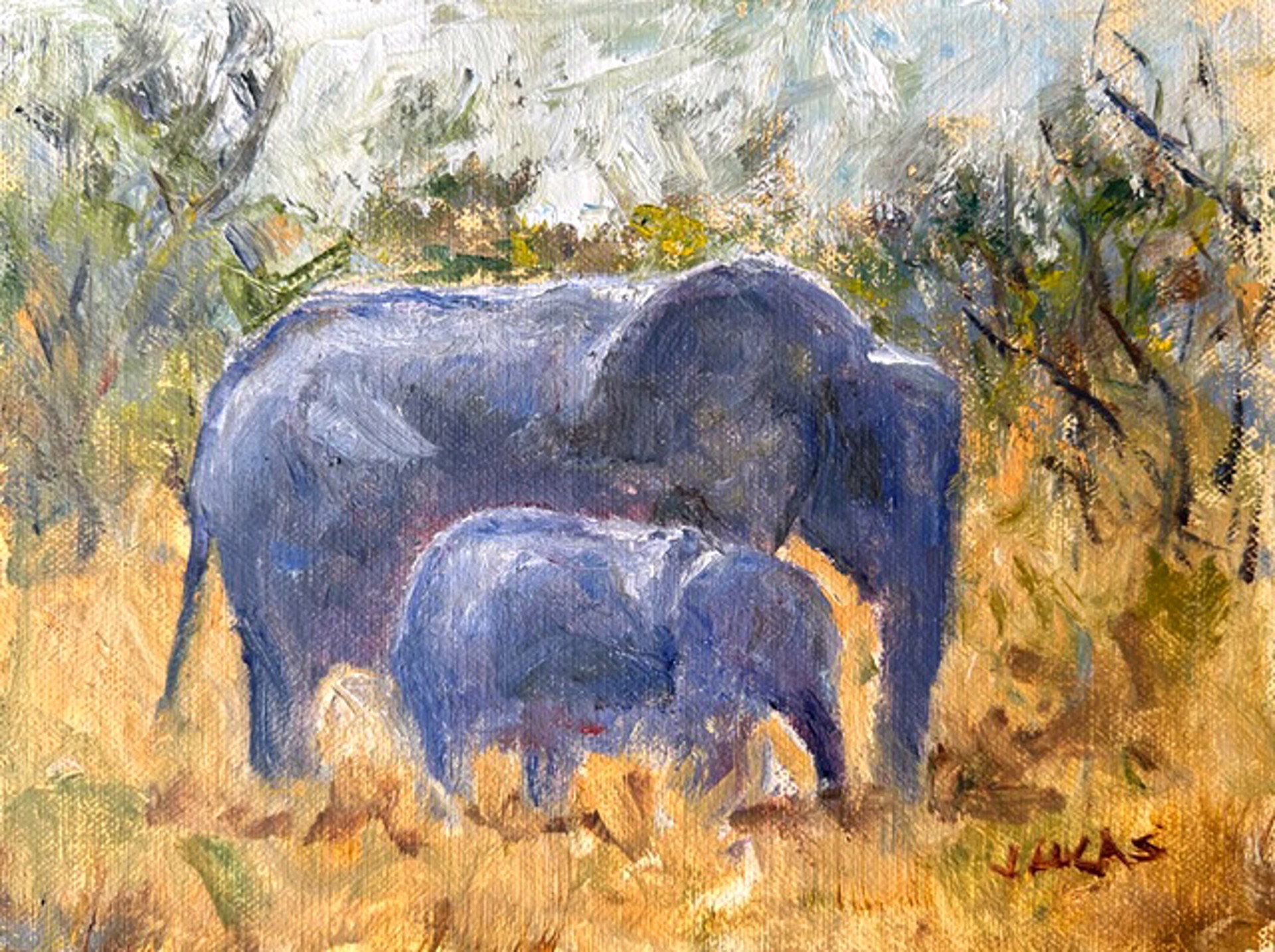 Elephants by Janet Lucas Beck
