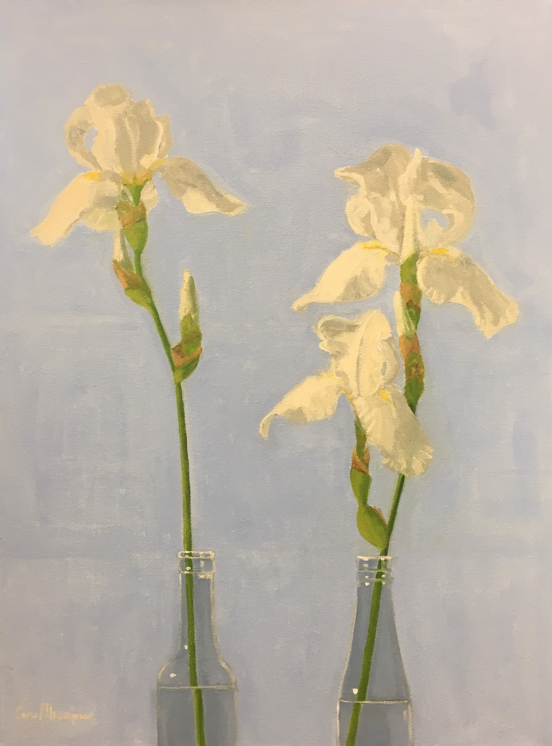 Two White Irises by Carol Thompson