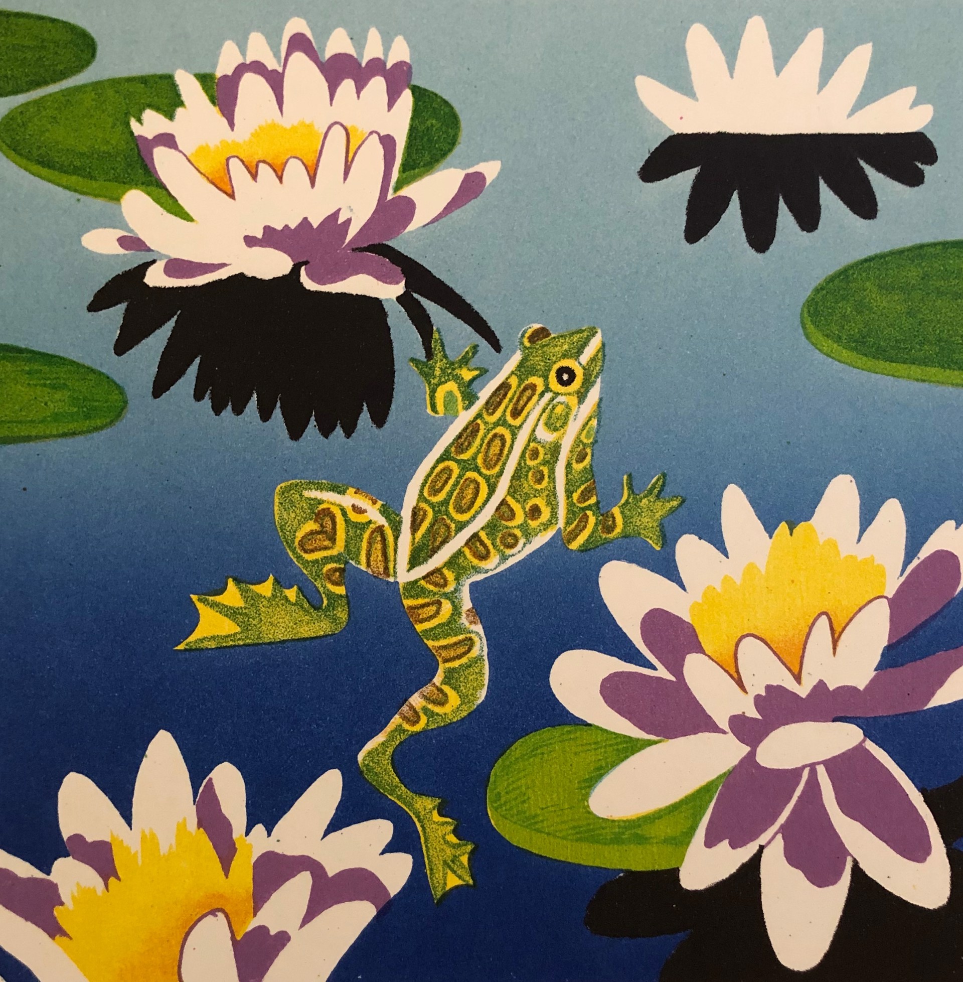 Frog and Blooming Lilies by Billy Hassell