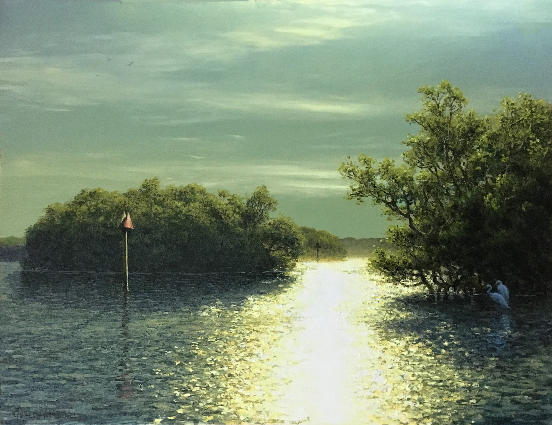 Light Through the Mangroves (The Florida Waterways Series) by Joseph McGurl