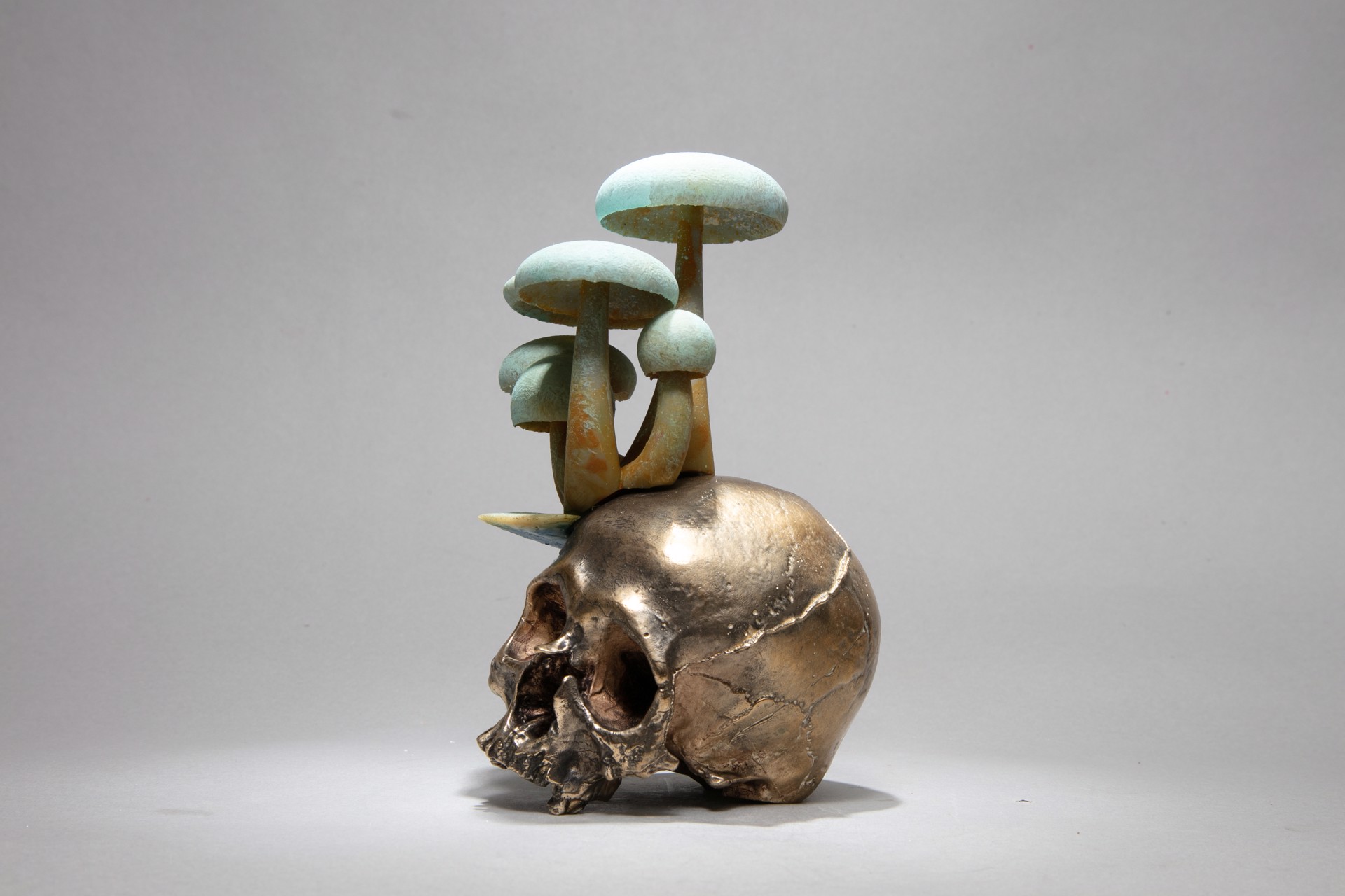 Mushroom Skull by Dana Younger