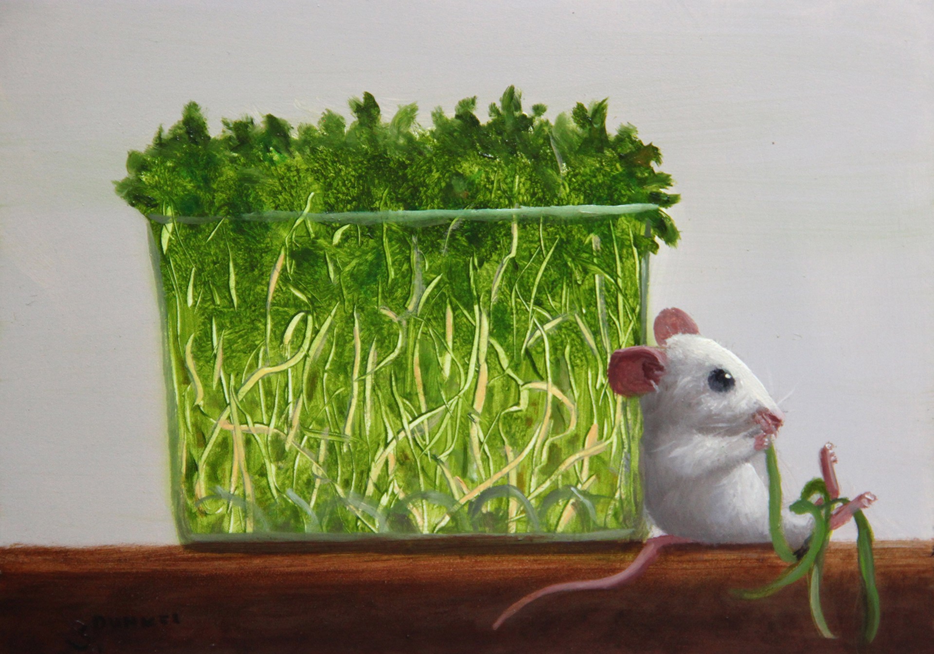 Healthy Diet by Stuart Dunkel
