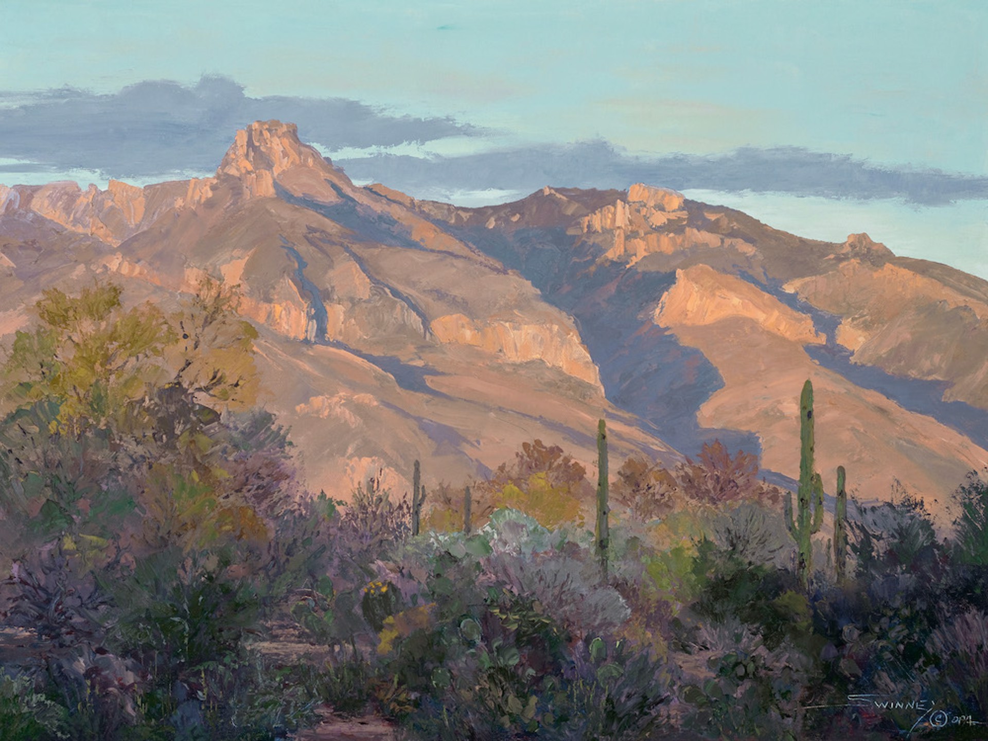 When The Mountains Turn Pink by Carol Swinney