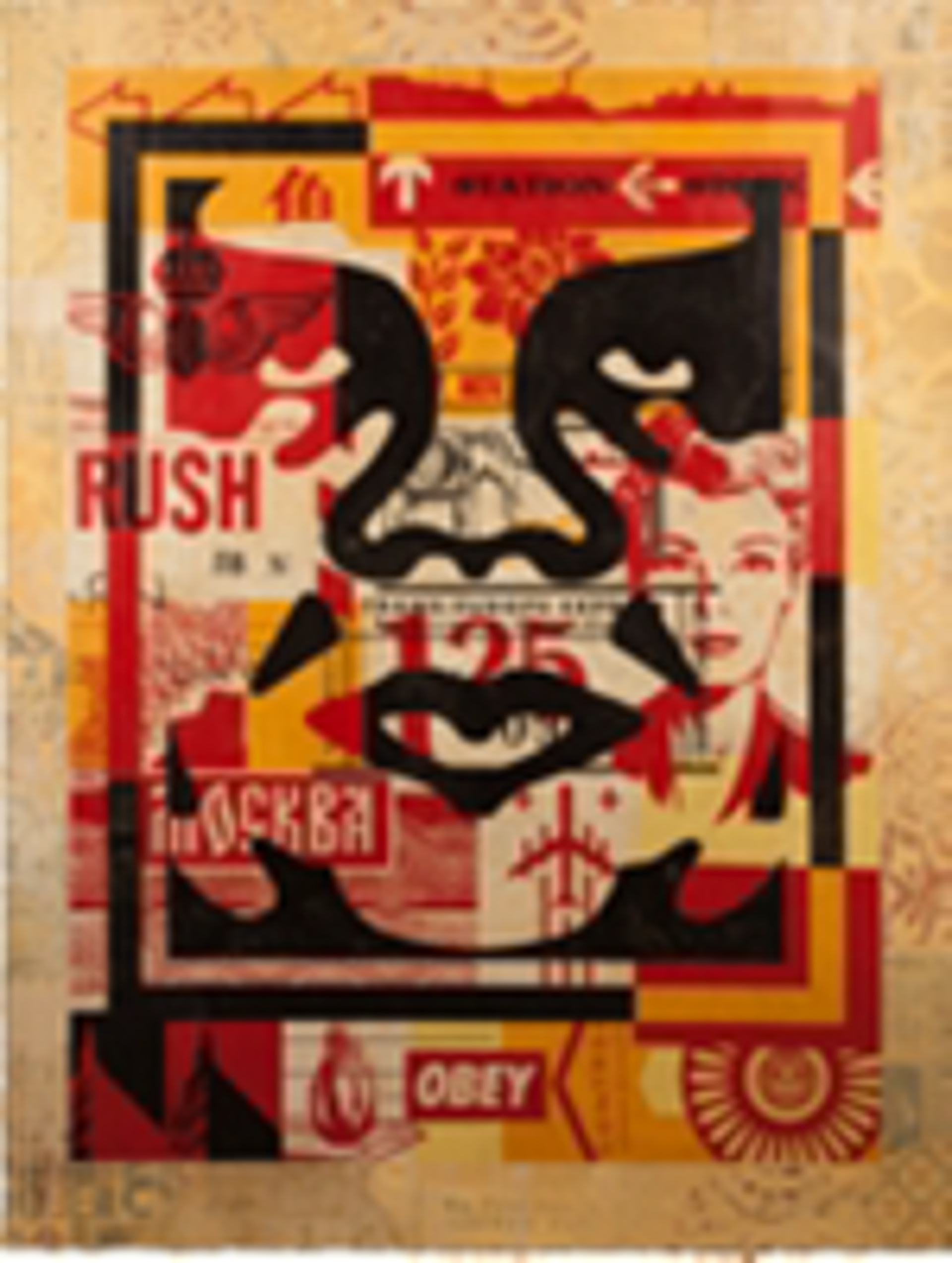 Icon Collage (Middle) by Shepard Fairey