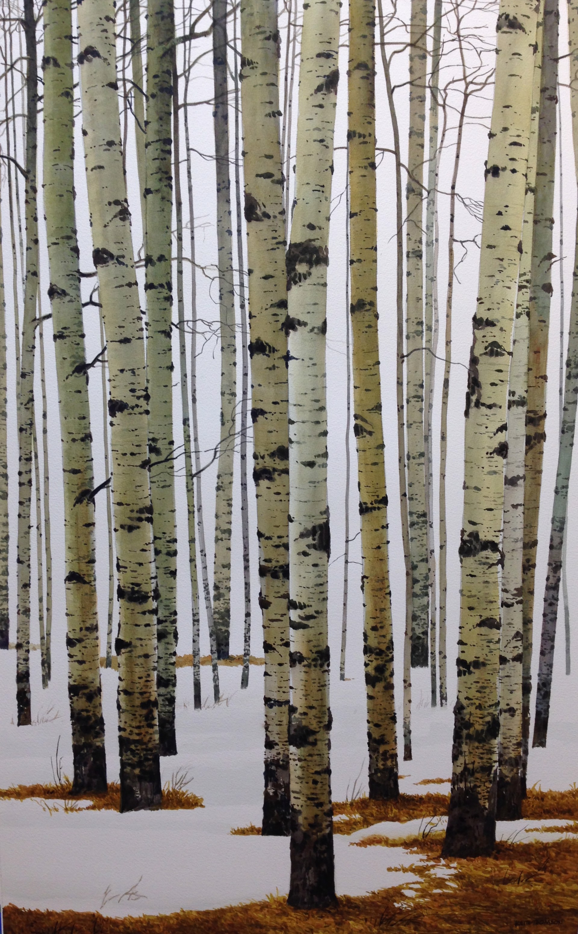 Winter Poplars by Keith Thomson