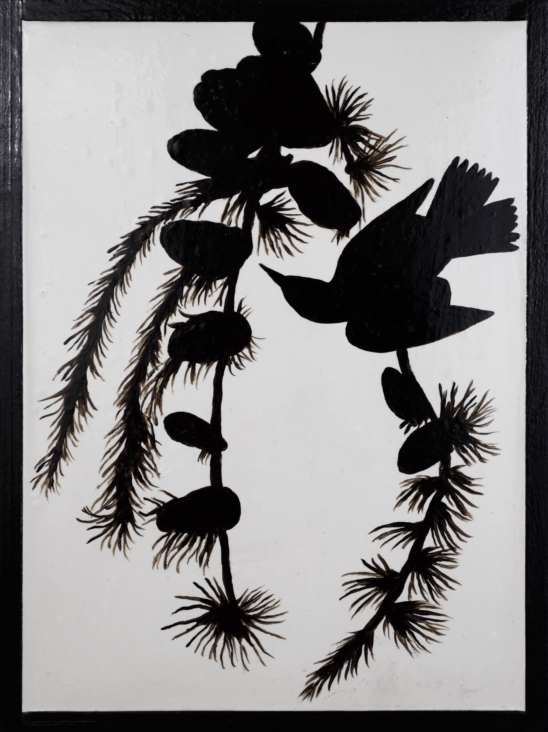 Black & White Warbler by Tim Hunter