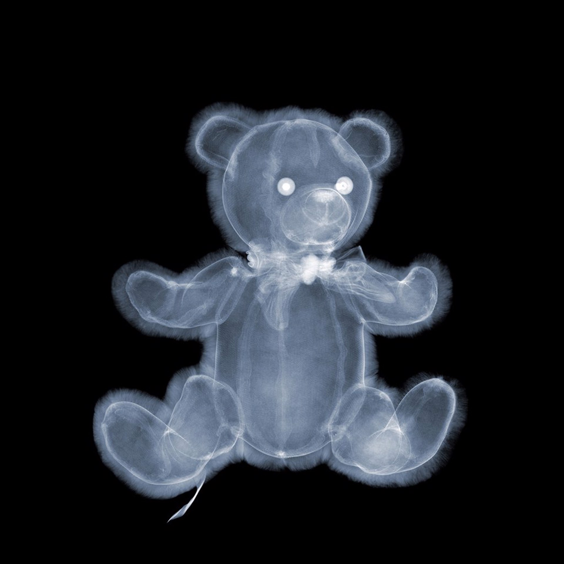 Fluffy Teddy Bear by Nick Veasey