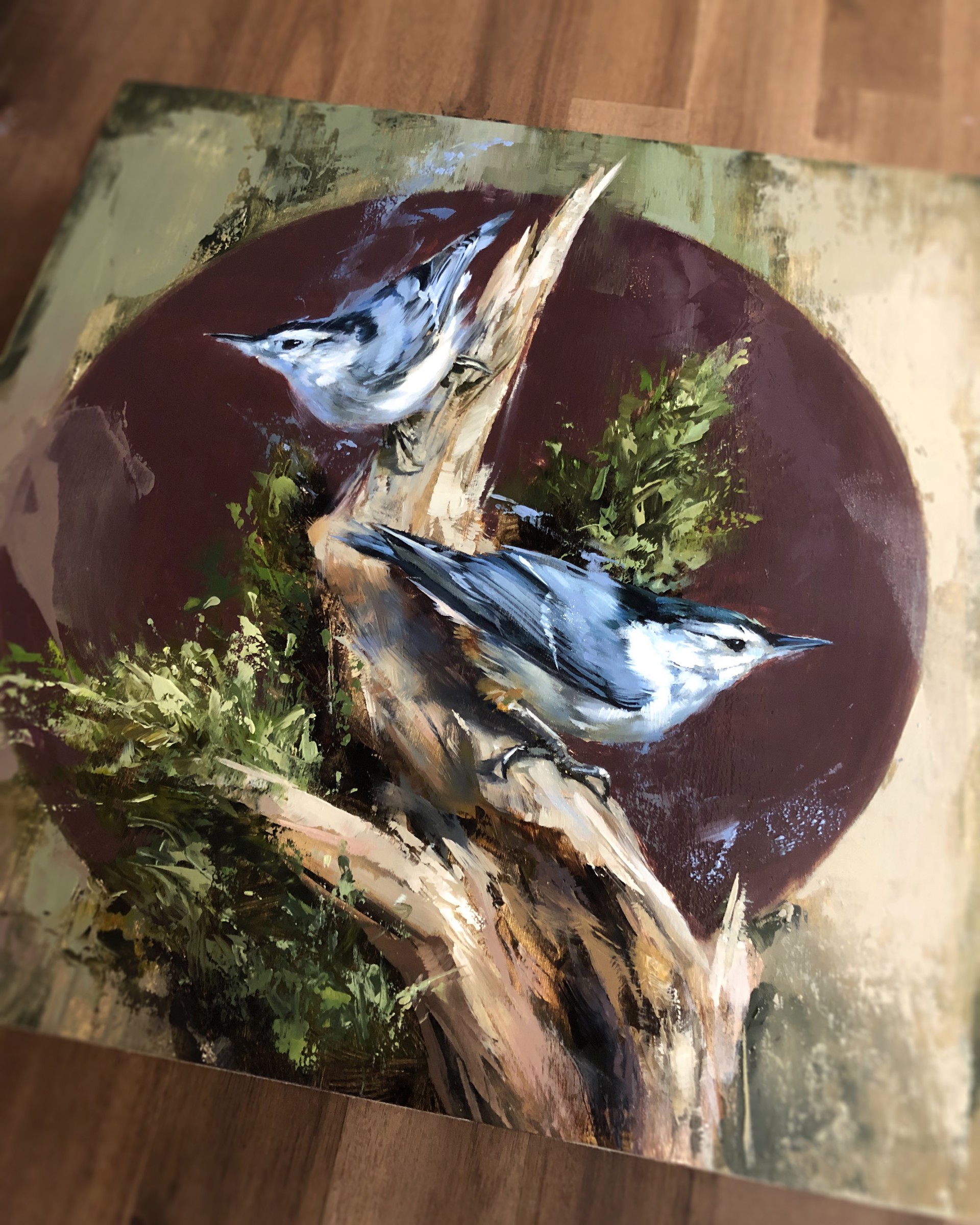 The White-Breasted Nuthatch by Lindsey Kustusch